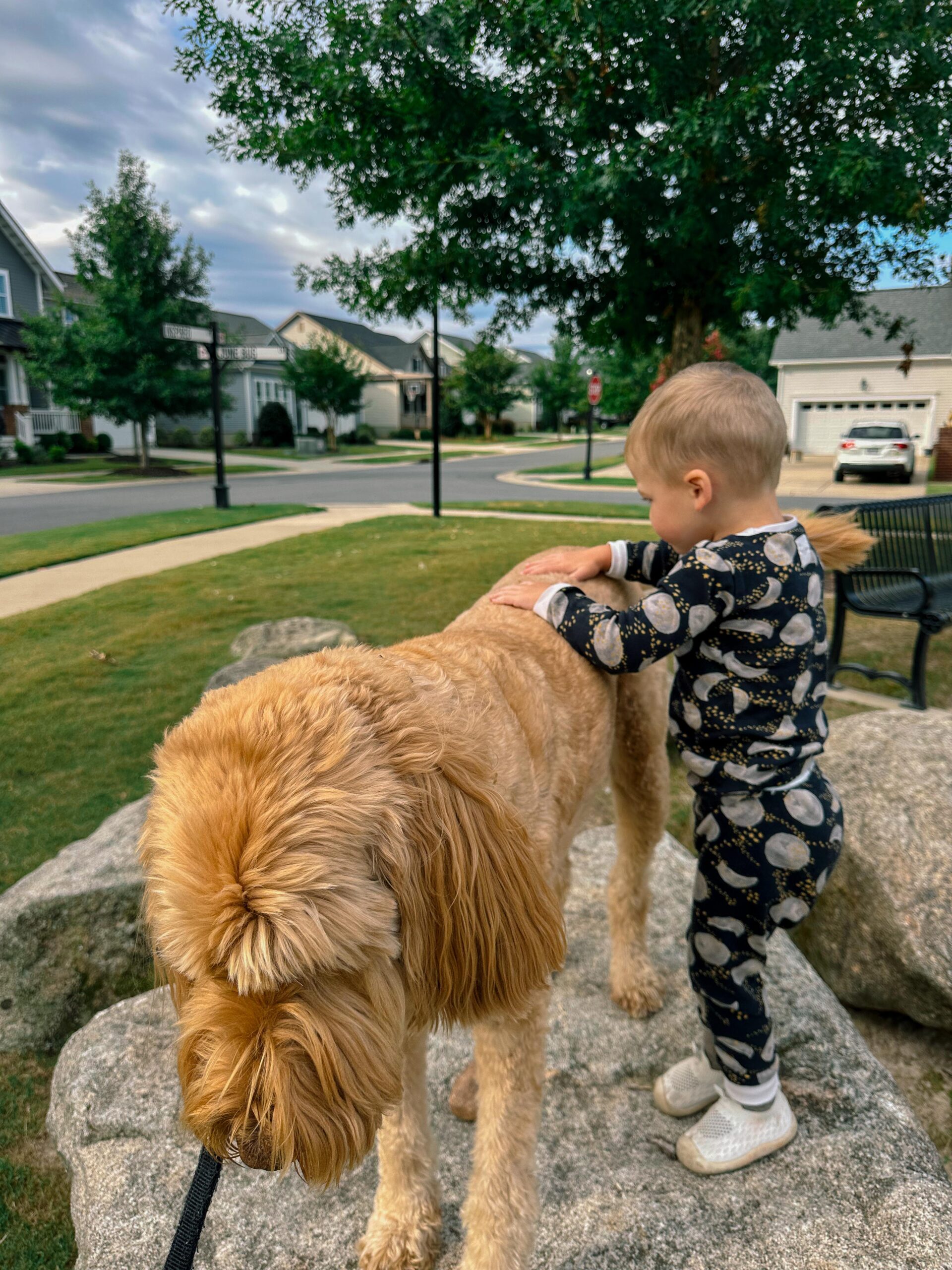 recap post, lifestyle blogger, mom life, fort mill south Carolina, toddlers, southpark, anne springs, parks in Charlotte, food, dinner, day in the life, boy mom, smoothies, healthy food, wax haw, recap post, daily life