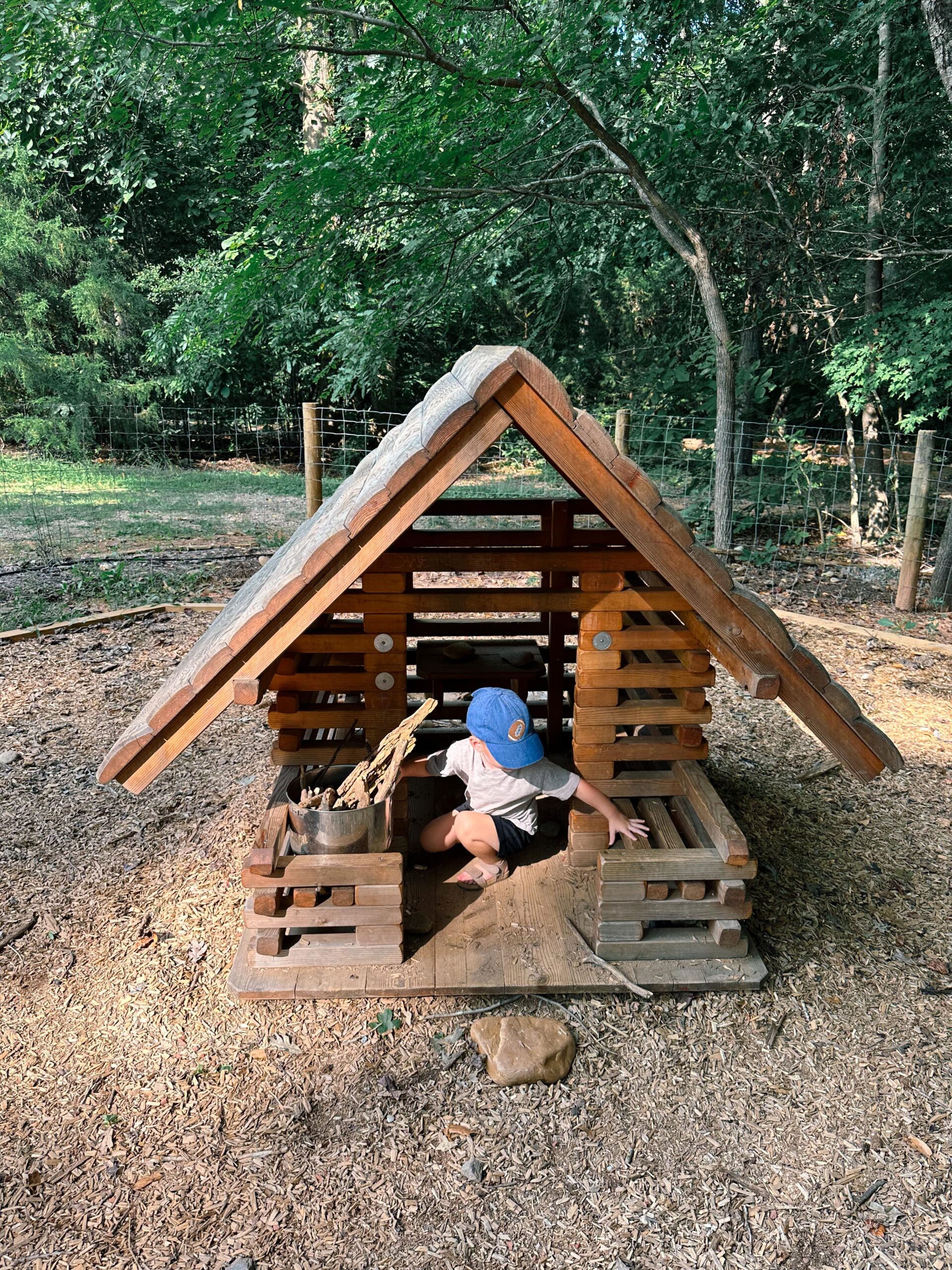 recap post, lifestyle blogger, mom life, fort mill south Carolina, toddlers, southpark, anne springs, parks in Charlotte, food, dinner, day in the life, boy mom, smoothies, healthy food, wax haw, recap post, daily life