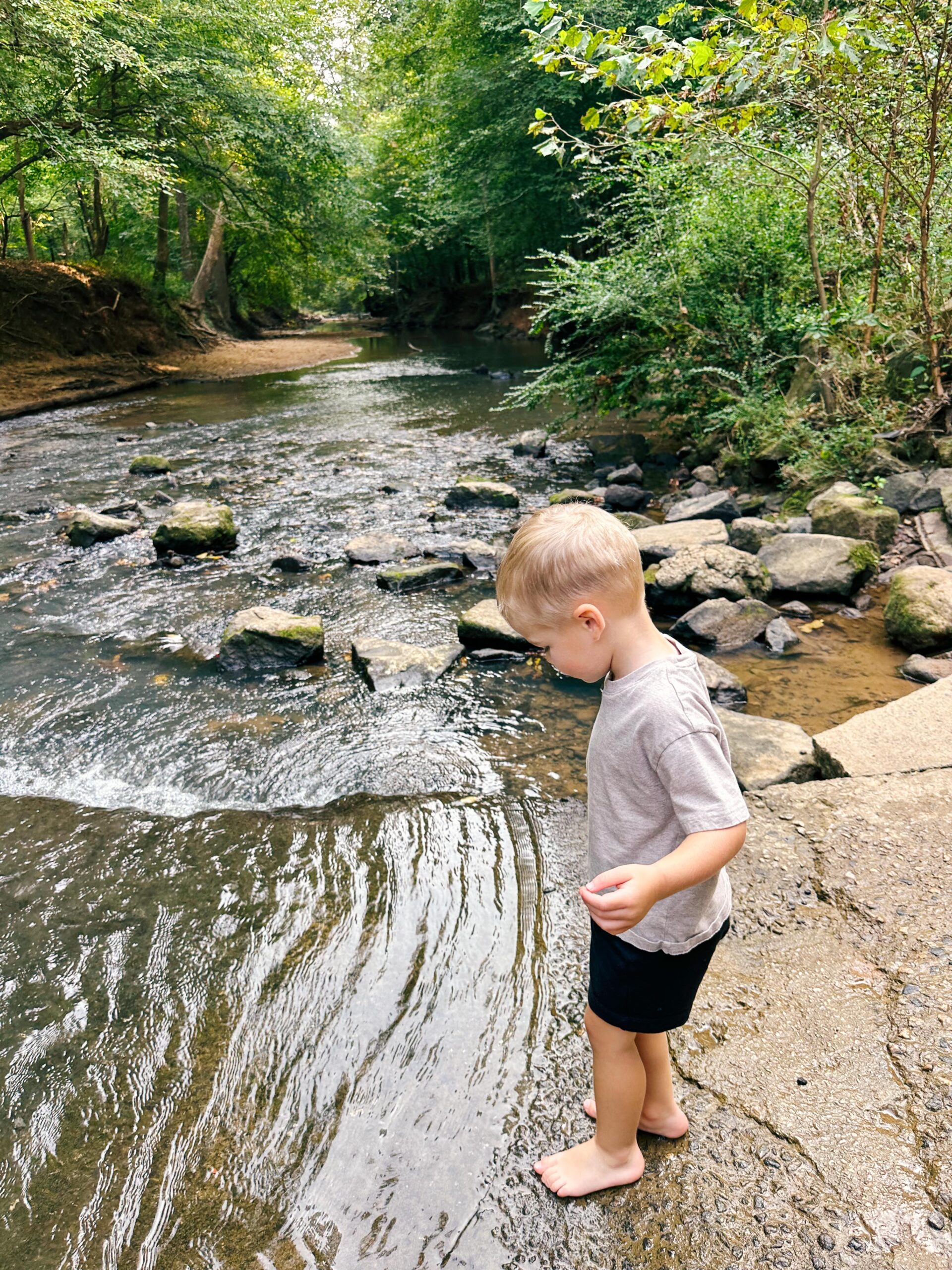 recap post, lifestyle blogger, mom life, fort mill south Carolina, toddlers, southpark, anne springs, parks in Charlotte, food, dinner, day in the life, boy mom, smoothies, healthy food, wax haw, recap post, daily life