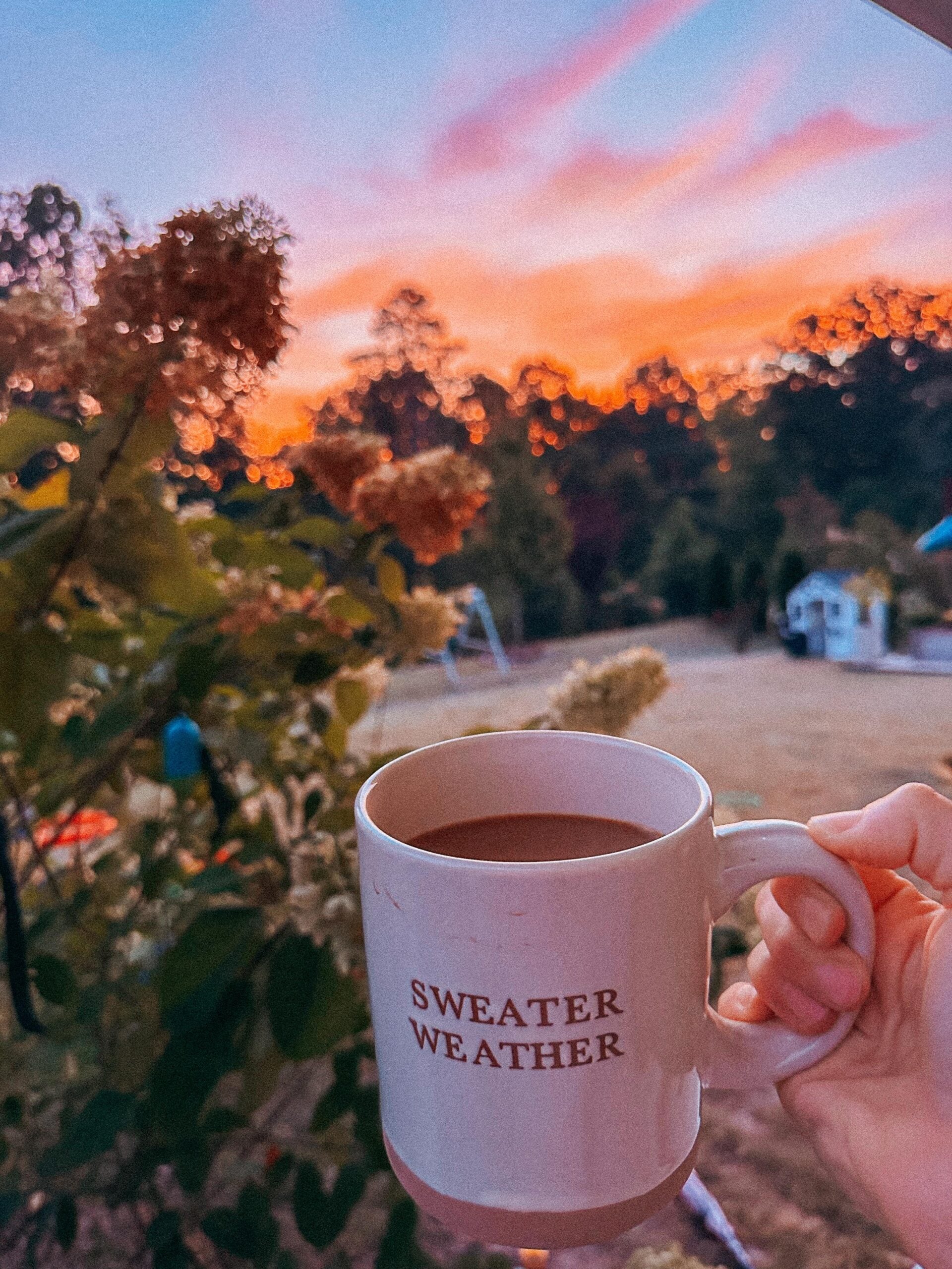 recap post, lifestyle blogger, mom life, fort mill south Carolina, toddlers, southpark, anne springs, parks in Charlotte, food, dinner, day in the life, boy mom, smoothies, healthy food, wax haw, recap post, daily life