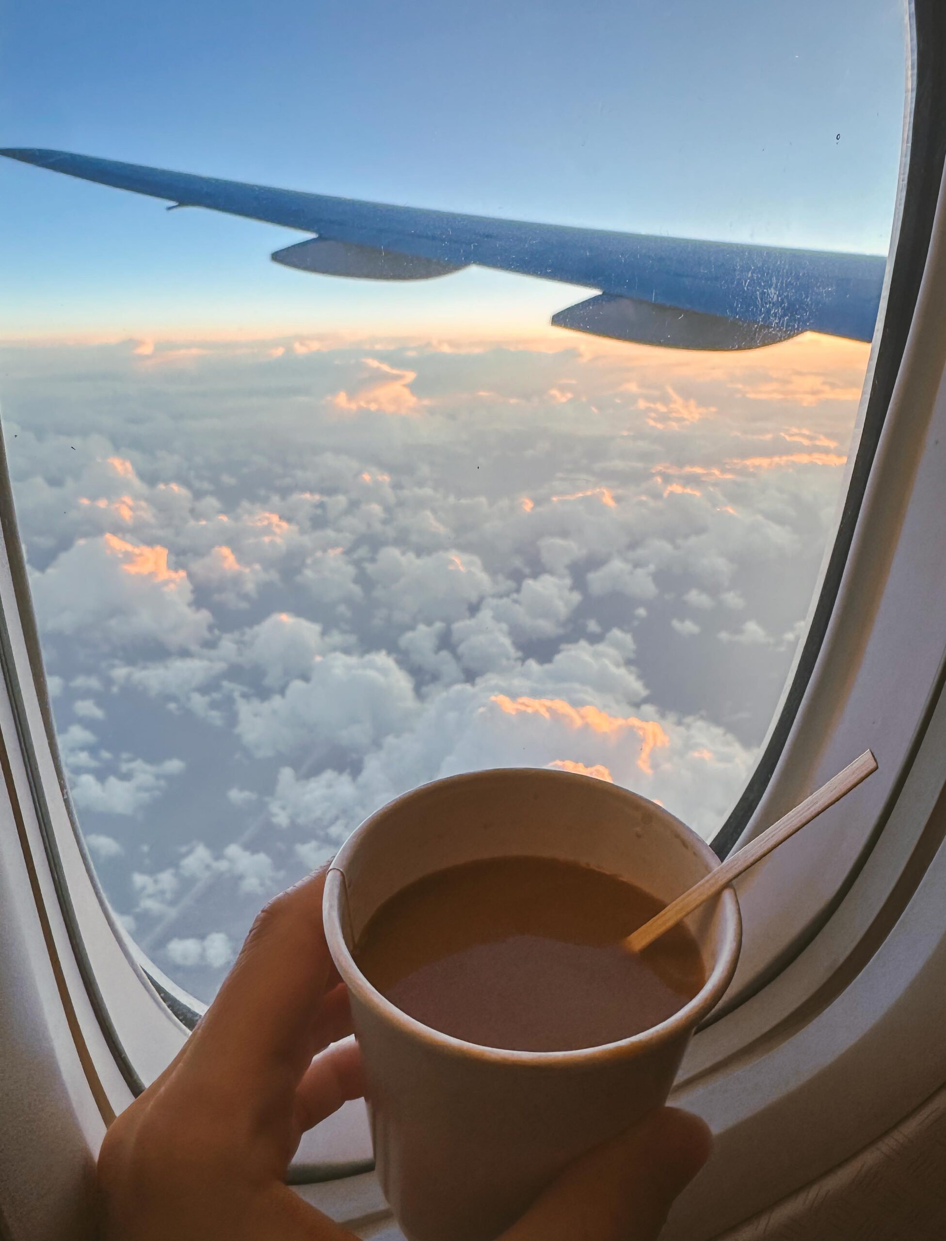 recap post, lifestyle blogger, mom life, fort mill south Carolina, toddlers, southpark, anne springs, parks in Charlotte, food, dinner, day in the life, boy mom, smoothies, healthy food, wax haw, recap post, daily life