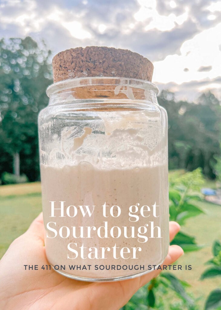 sourdough starter, how to feed sourdough, sourdough bread recipe, the best recipe for sourdough bread, sourdough for beginners, sourdough recipes online, free sourdough recipe, how to make sourdough bread, how to make sourdough starter, bread making, baking, bread baking, sourdough terms, what is discard, what is sourdough bread, what is sourdough starter, sourdough life, sourdough recipes, sourdough blogger