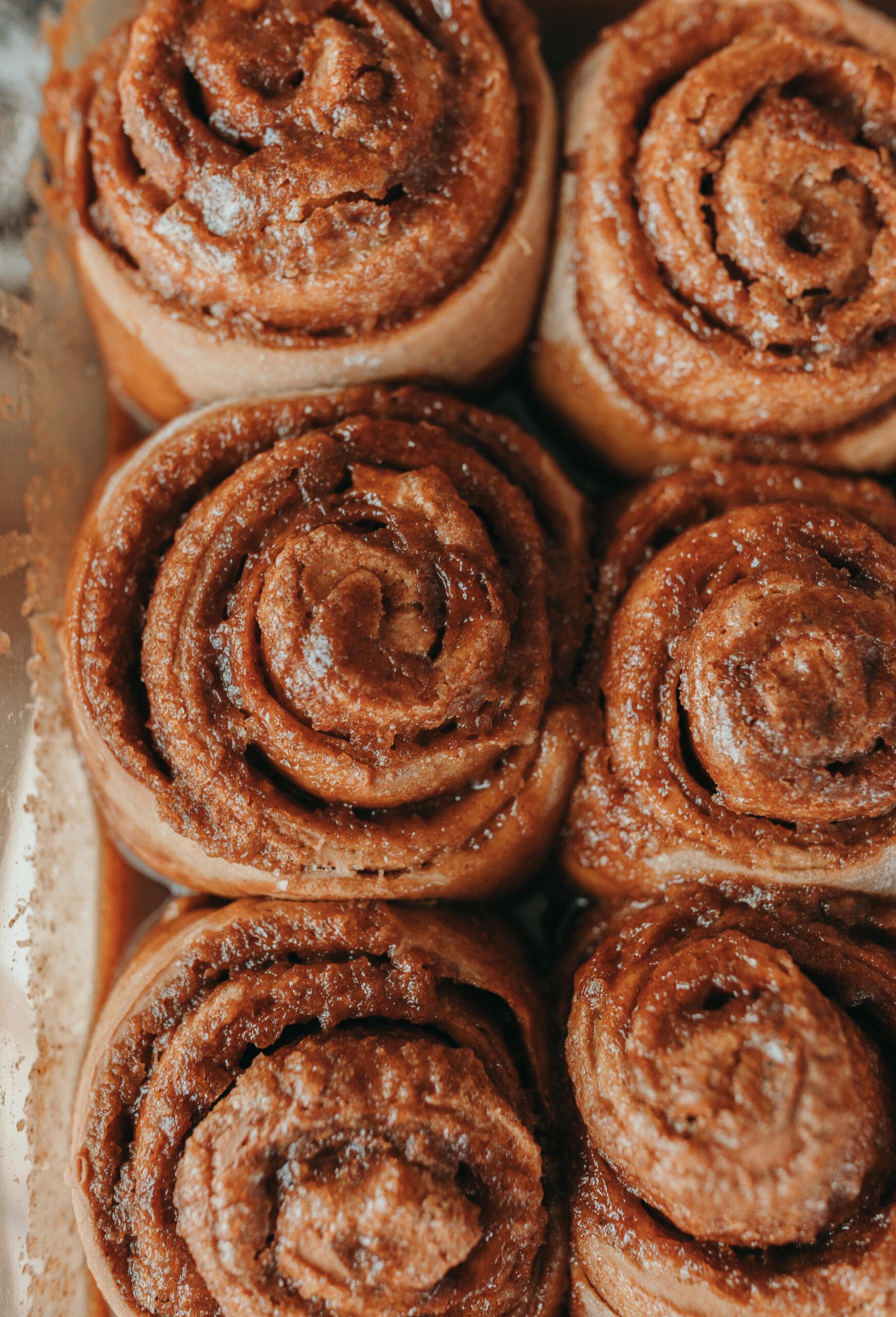 gingerbread sourdough cinnamon rolls, gingerbread sourdough cinnamon rolls, cinnamon rolls, christmas cinnamon rolls, gingerbread recipe, gingerbread shortbread, gingerbread cookie cinnamon rolls, christmas cinnamon rolls sourdough, sourdough recipes, the best sourdough cinnamon rolls, cinnamon molasses gingerbread, molasses cinnamon rolls, best ever cinnamon rolls for christmas, holiday cinnamon rolls, sourdough christmas recipes, baking, delicous, easy to make overnight sourdough cinnamon roll recipe