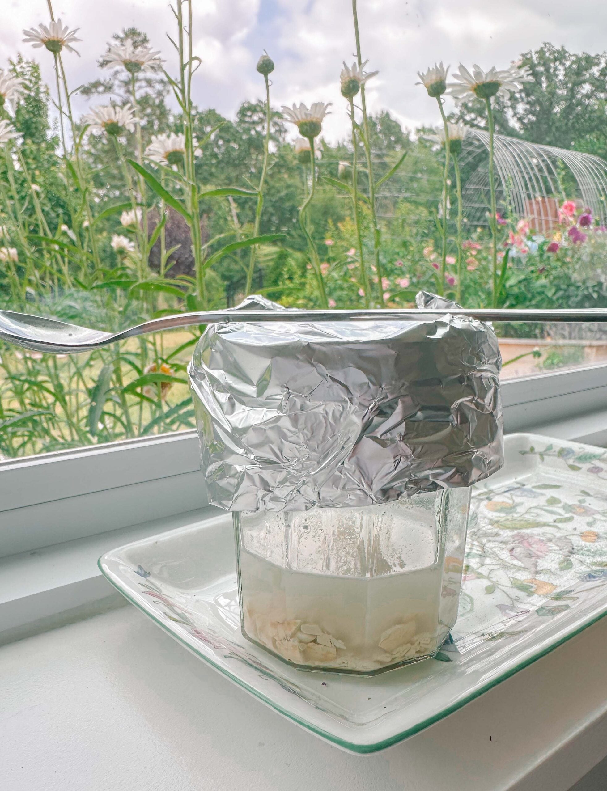 activating sourdough starter, how to