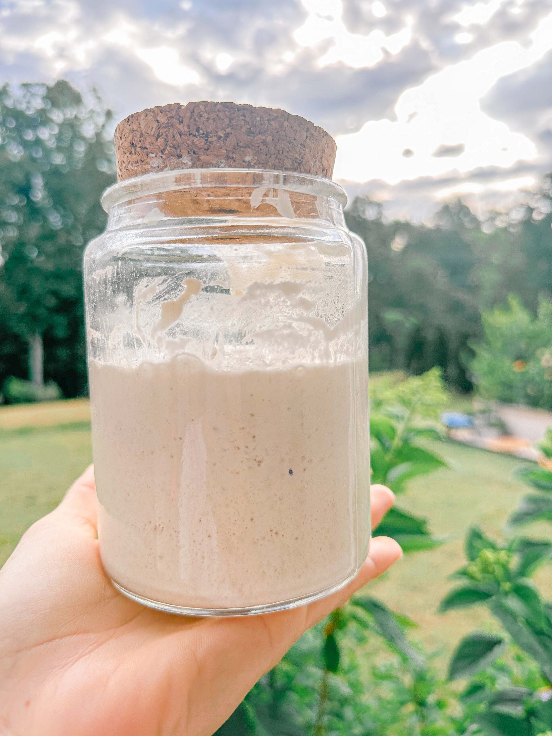 activating sourdough starter, how to
