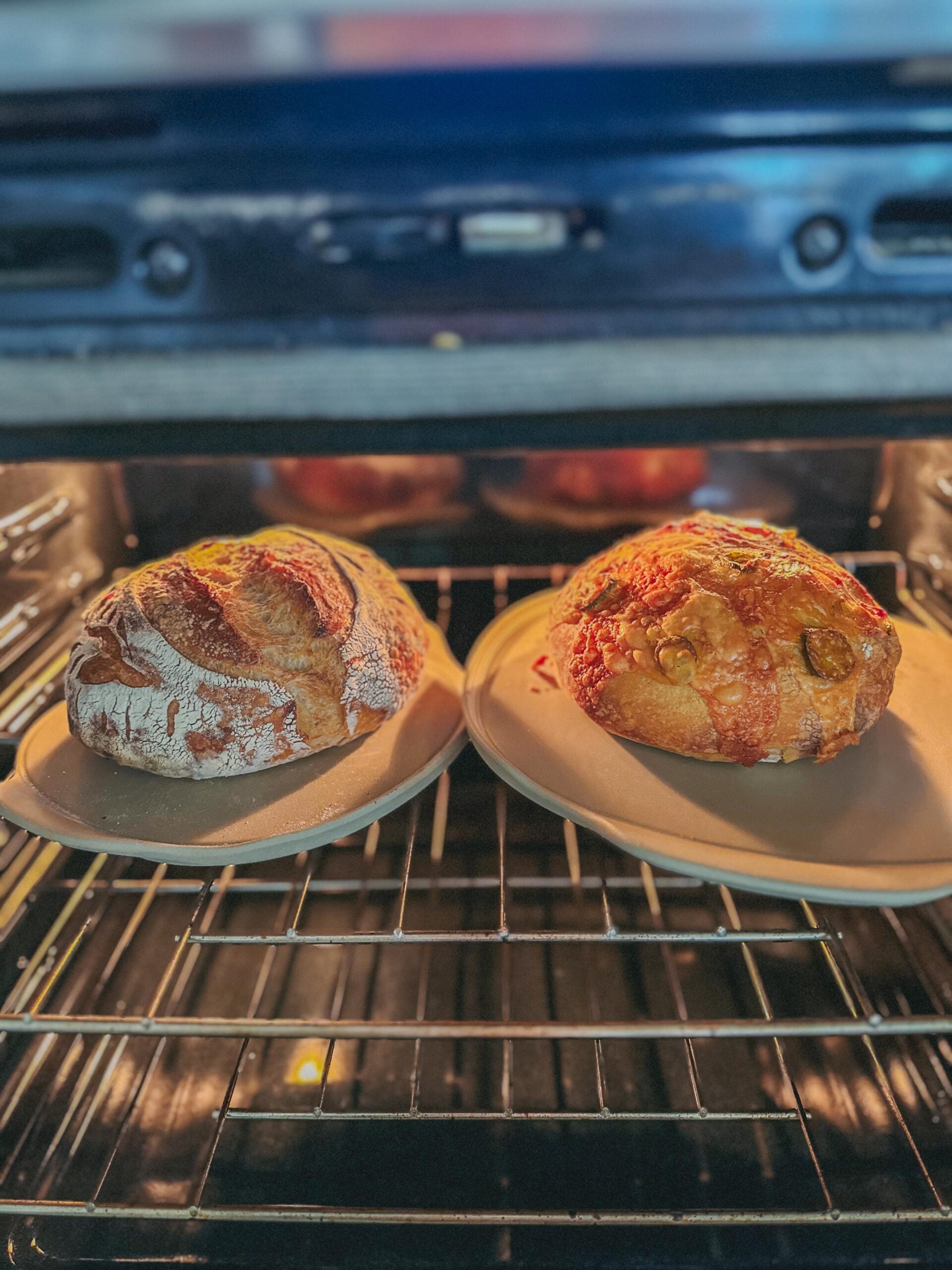 toddler mom, lifestyle blog, dinner, meals, day in the life, lifestyle, mom life, sourdough, recipes, meals, toddler food, what to cook for the family, south carolina blogger, gardening, sourdough bread, healthy cake pops, sourdough pizza