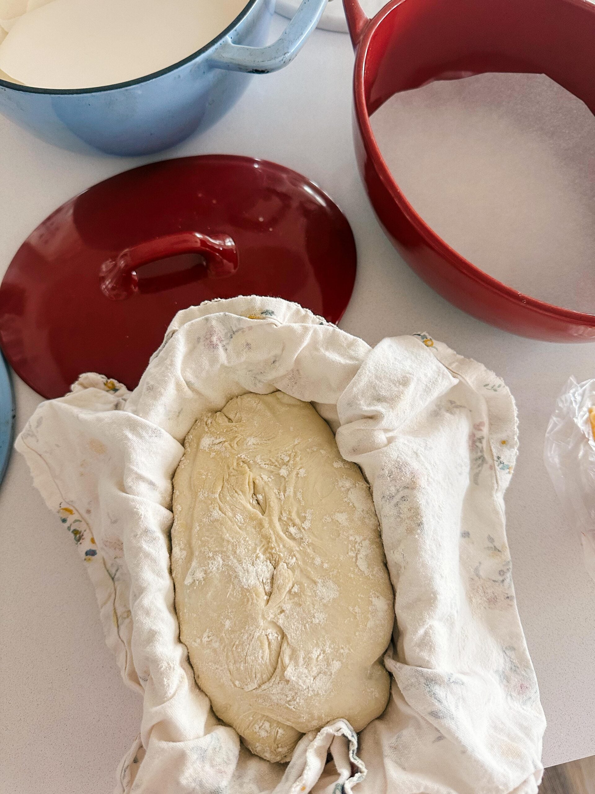 mom blog, lifestyle blog, toddler mom, activities for a toddler, fort mill, south carolina, things to do with toddlers, snow day, coloring, food, meals, dinner, charlotte north carolina, recipes, breakfast, snacks, mom lifetyle blog, healthy life, park dates, home, sourdough, sourdough recipes, toddler activities, toddler toys, toddler crafts, garden, crafts, planting flowers