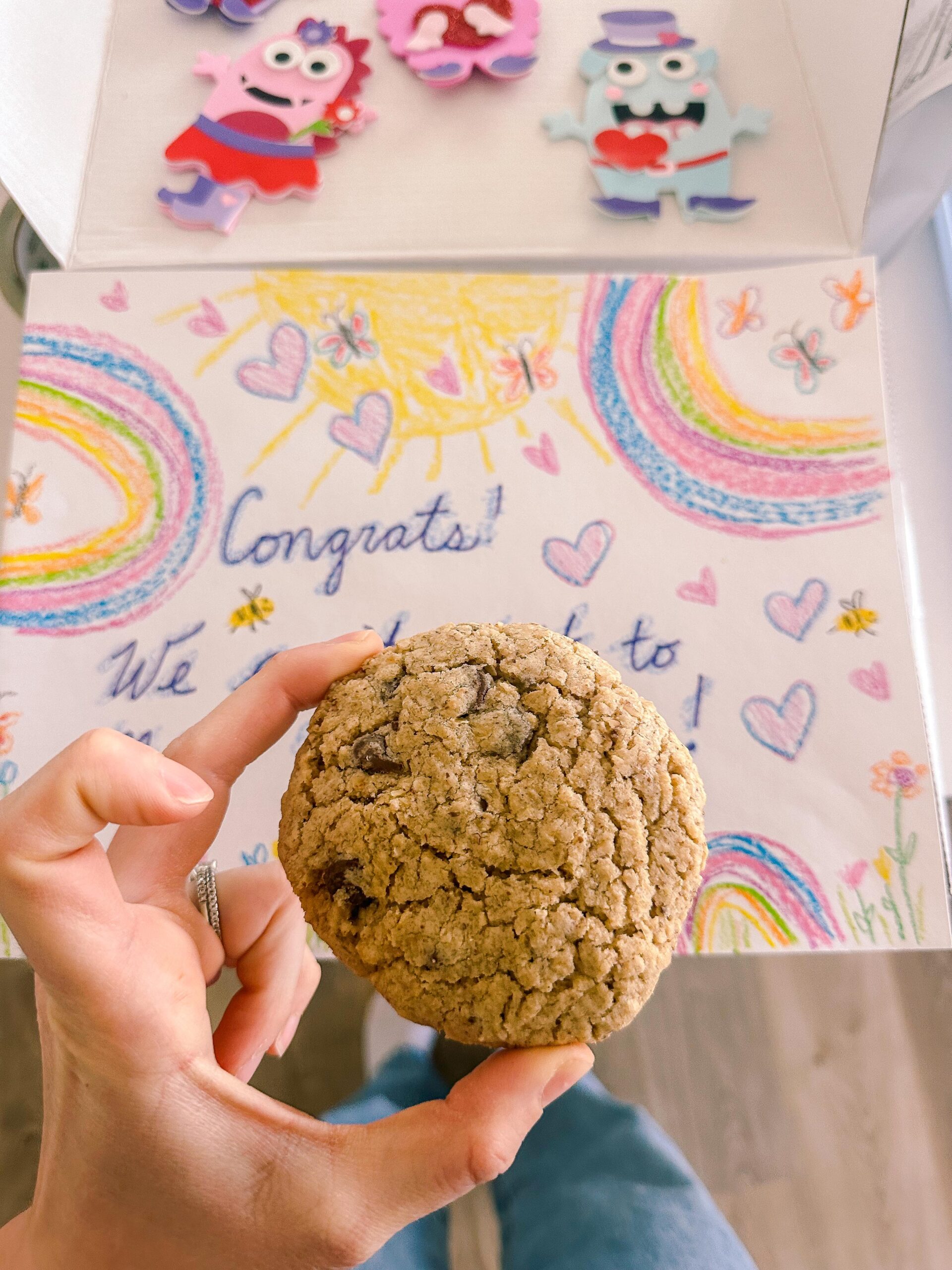 thumbnail image 2 of Mommy Knows Best Lactation Cookies Mix,Oatmeal Chocolate Chip Support For Breast Milk Supply... 2 of 14