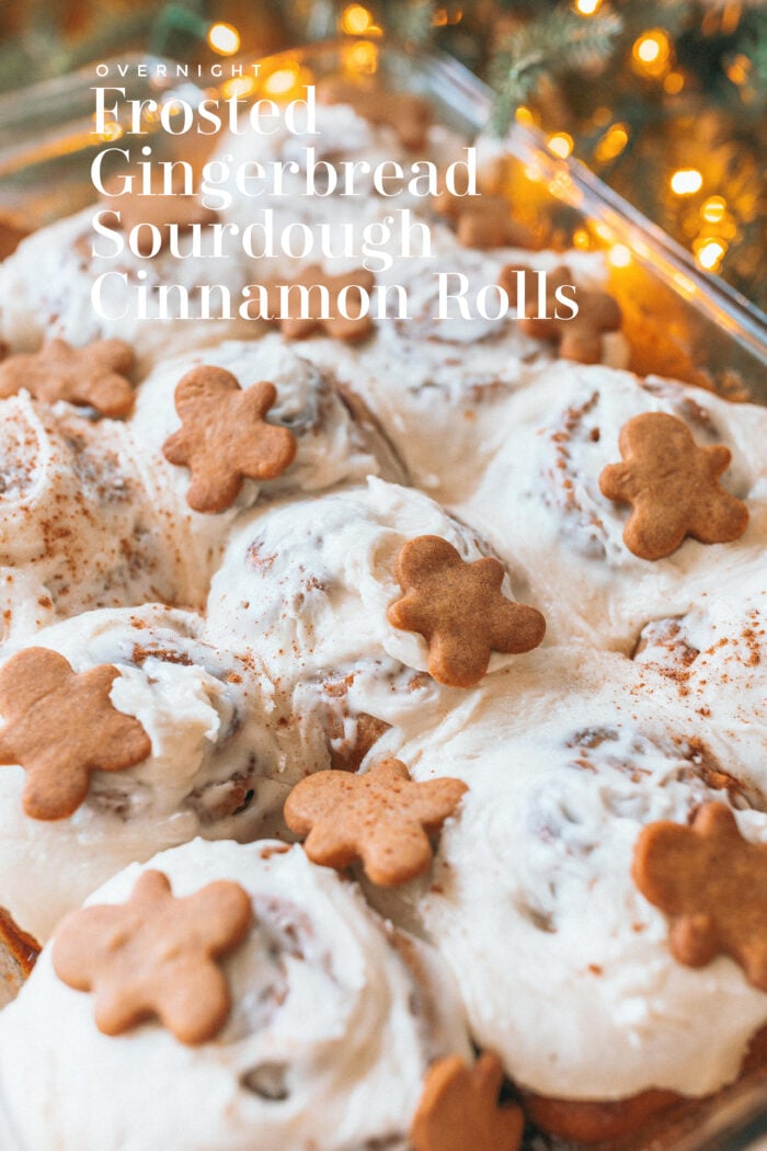 Frosted Gingerbread Sourdough Cinnamon Rolls
