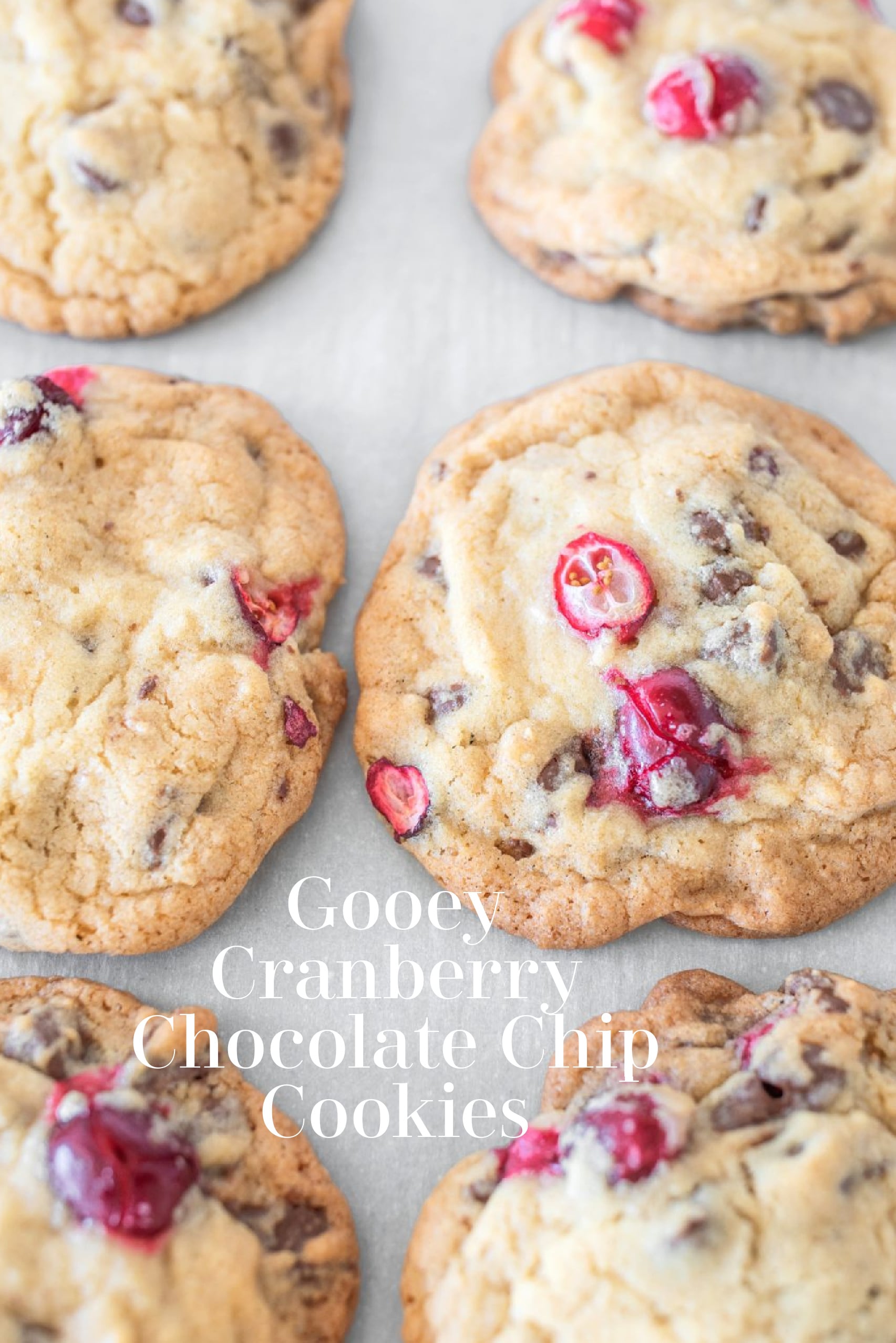 Perfect Chewy and Gooey Chocolate Chip Cranberry Cookies -