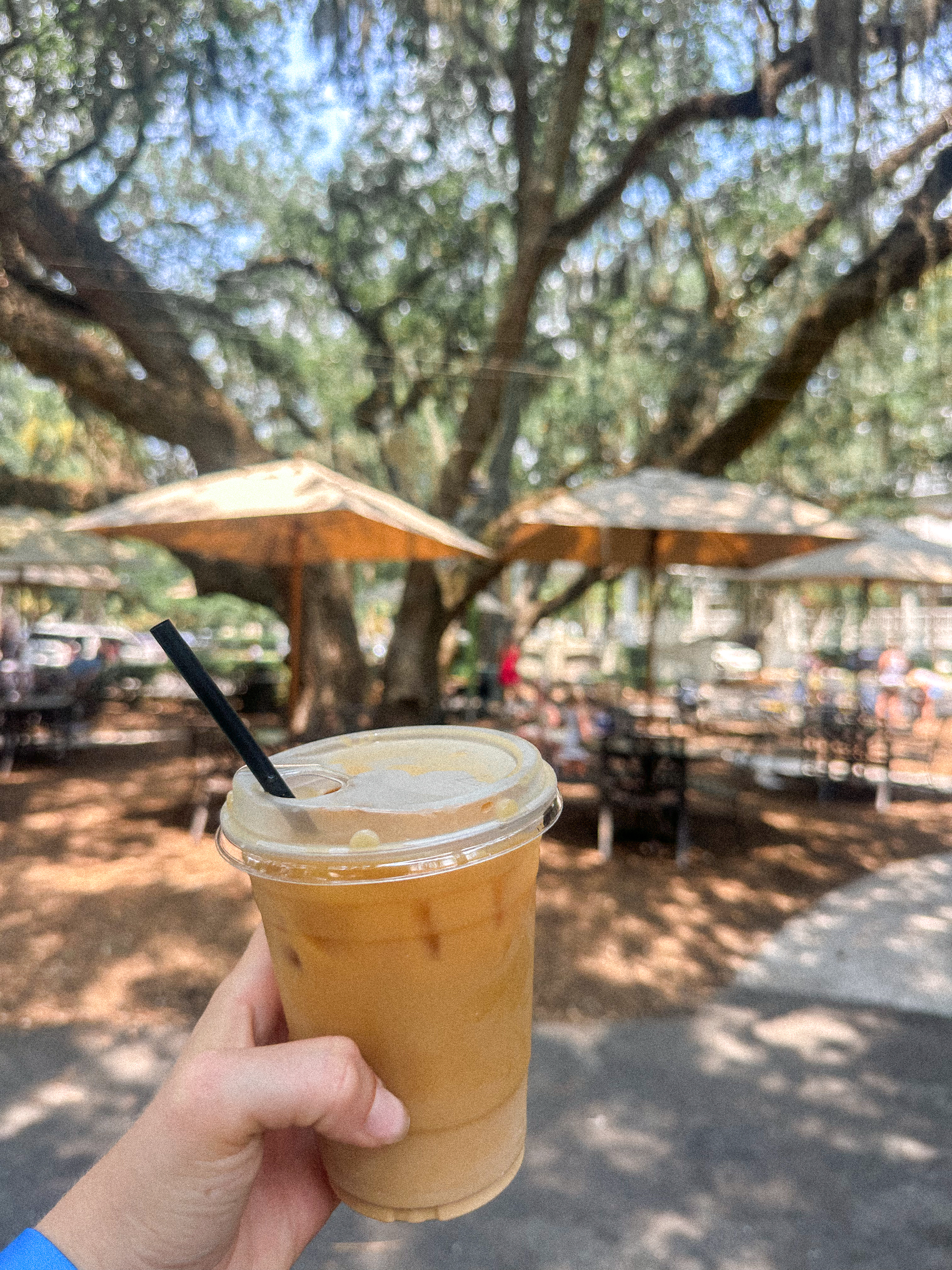 travel with toddler, hilton head, traveling, westin, hilton head island, travel blog, travel guide, where to eat, where to stay, things to do