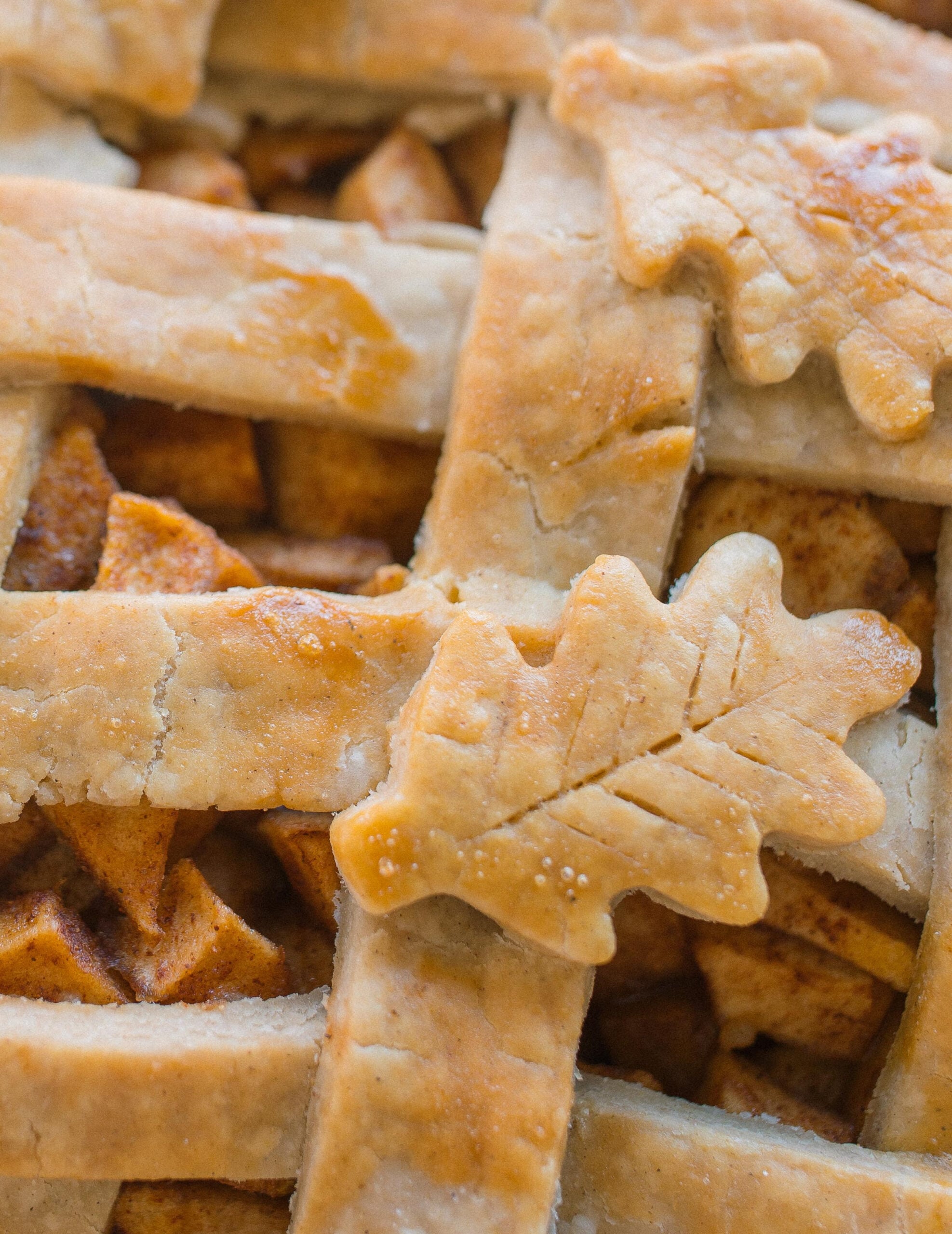 gluten-free, gluten free apple pie, gluten free pie crust, gluten free and vegan pie crust, vegan pie crust, gluten free and vegan apple pie, healthy apple pie, gluten free pie recipes, no added sugar pie, no added sugar apple pie, no refined sugars, dairy-free, sugar free apple pie, sugar free pie, low sugar thanksgiving dessert, low sugar dessert, apple pie, healthy recipes for holidays, maple apple pie, maple syrup, healthy recipes for thanksgiving