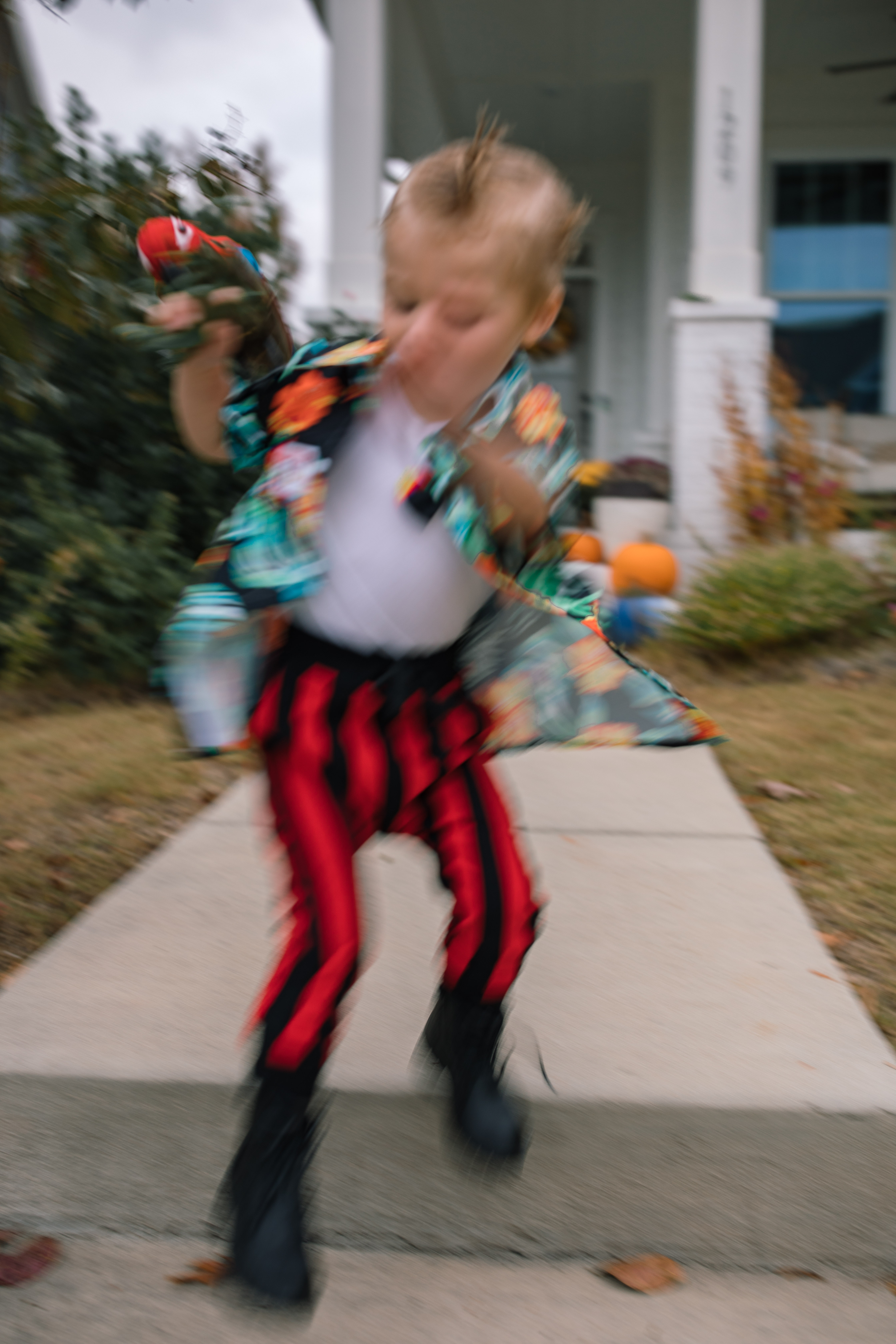 ace ventura costume, halloween costume, diy toddler costume, jim carry, halloween idea for toddler, ace ventura costume, toddler boy costume, costume ideas for toddler boy