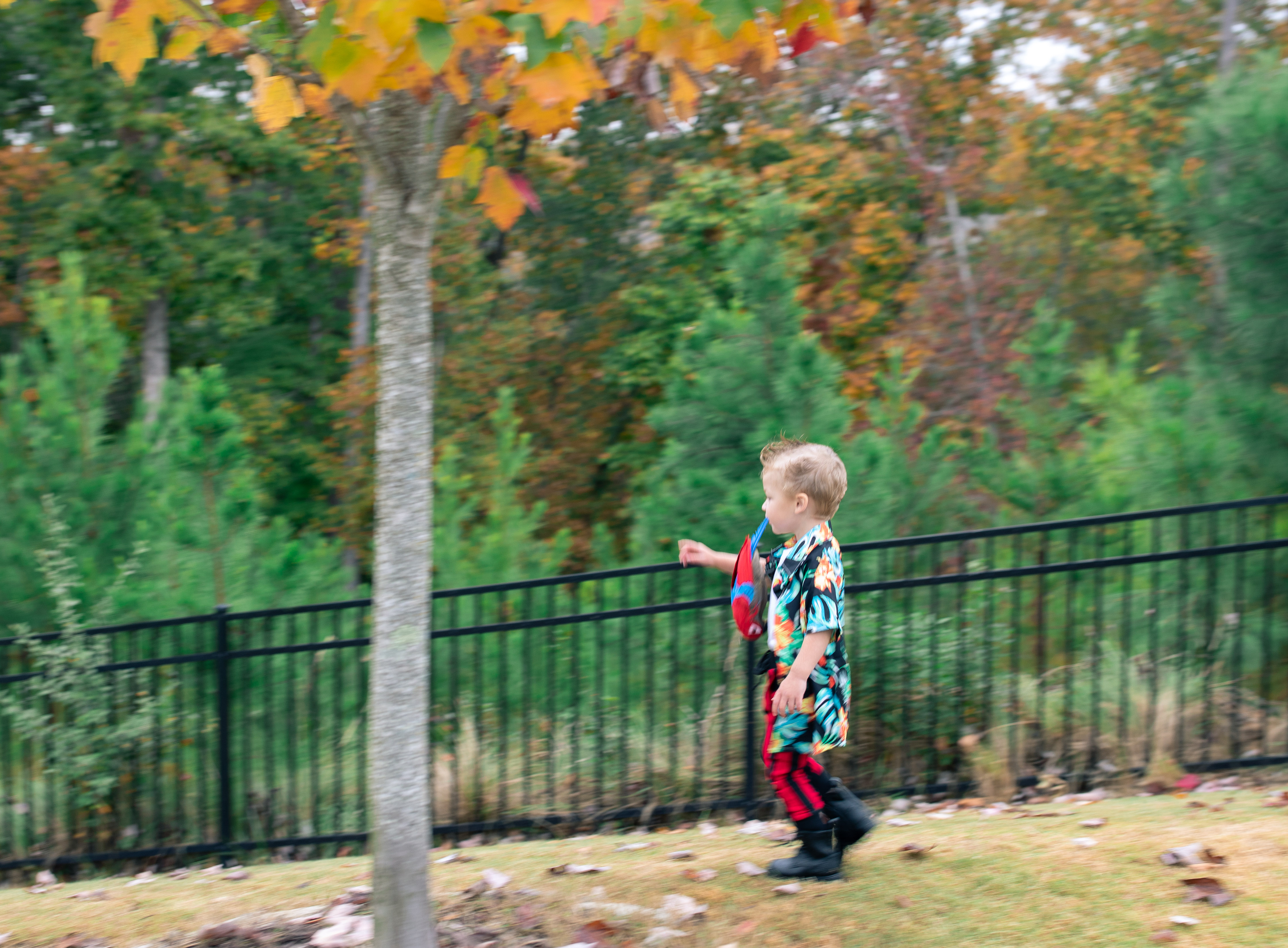 ace ventura costume, halloween costume, diy toddler costume, jim carry, halloween idea for toddler, ace ventura costume, toddler boy costume, costume ideas for toddler boy