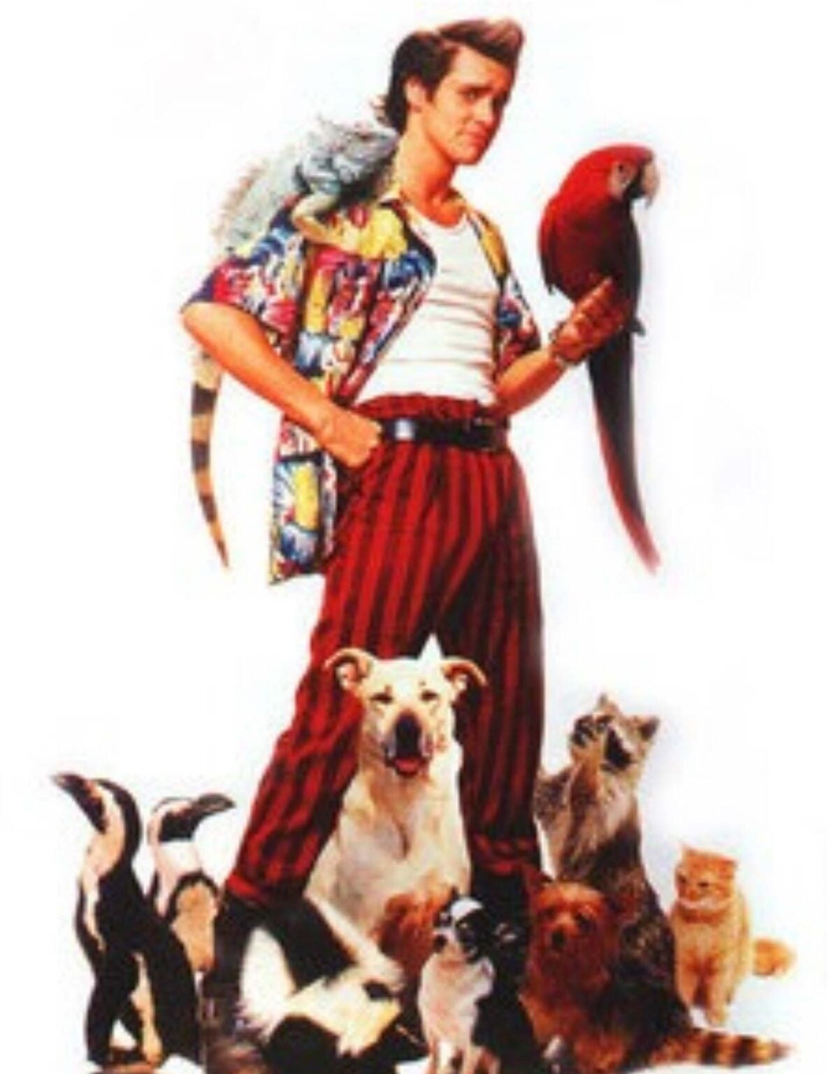 ace ventura costume, halloween costume, diy toddler costume, jim carry, halloween idea for toddler, ace ventura costume, toddler boy costume, costume ideas for toddler boy