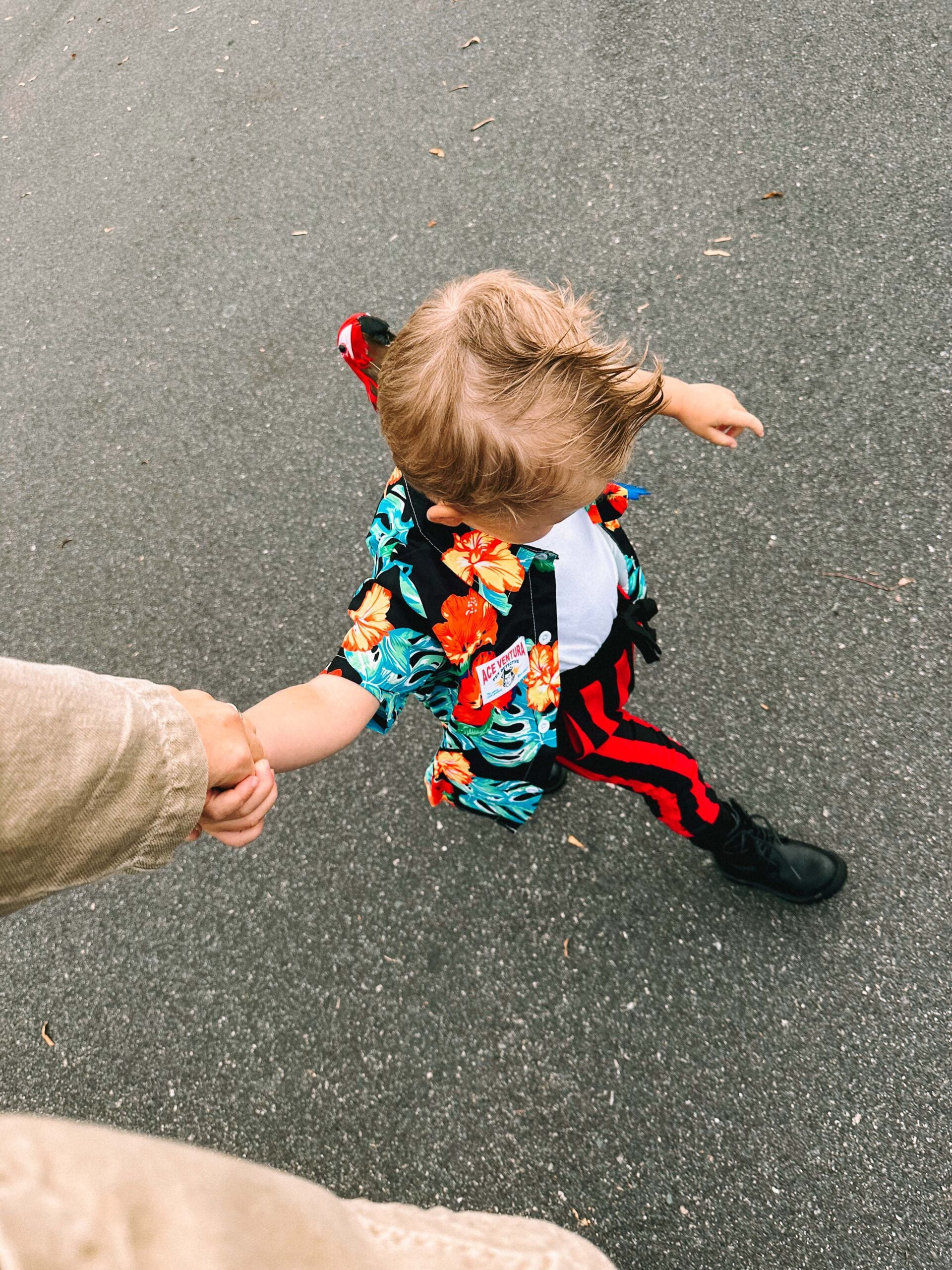 ace ventura costume, halloween costume, diy toddler costume, jim carry, halloween idea for toddler, ace ventura costume, toddler boy costume, costume ideas for toddler boy