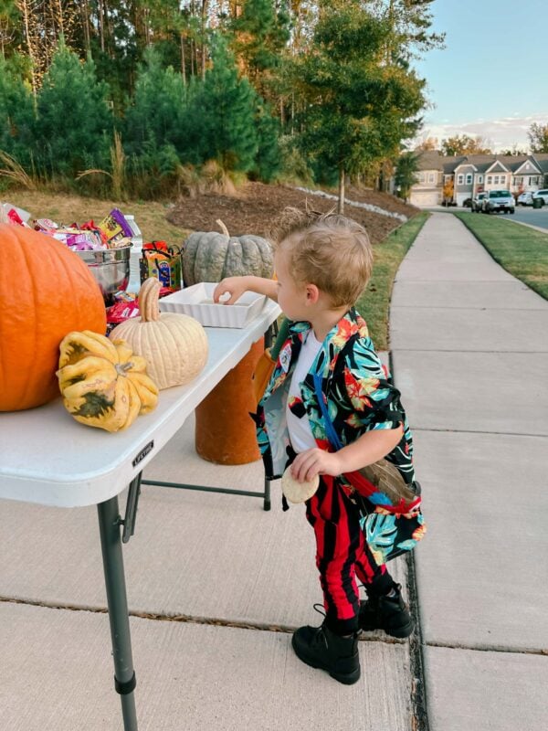 ace ventura costume, halloween costume, diy toddler costume, jim carry, halloween idea for toddler, ace ventura costume, toddler boy costume, costume ideas for toddler boy