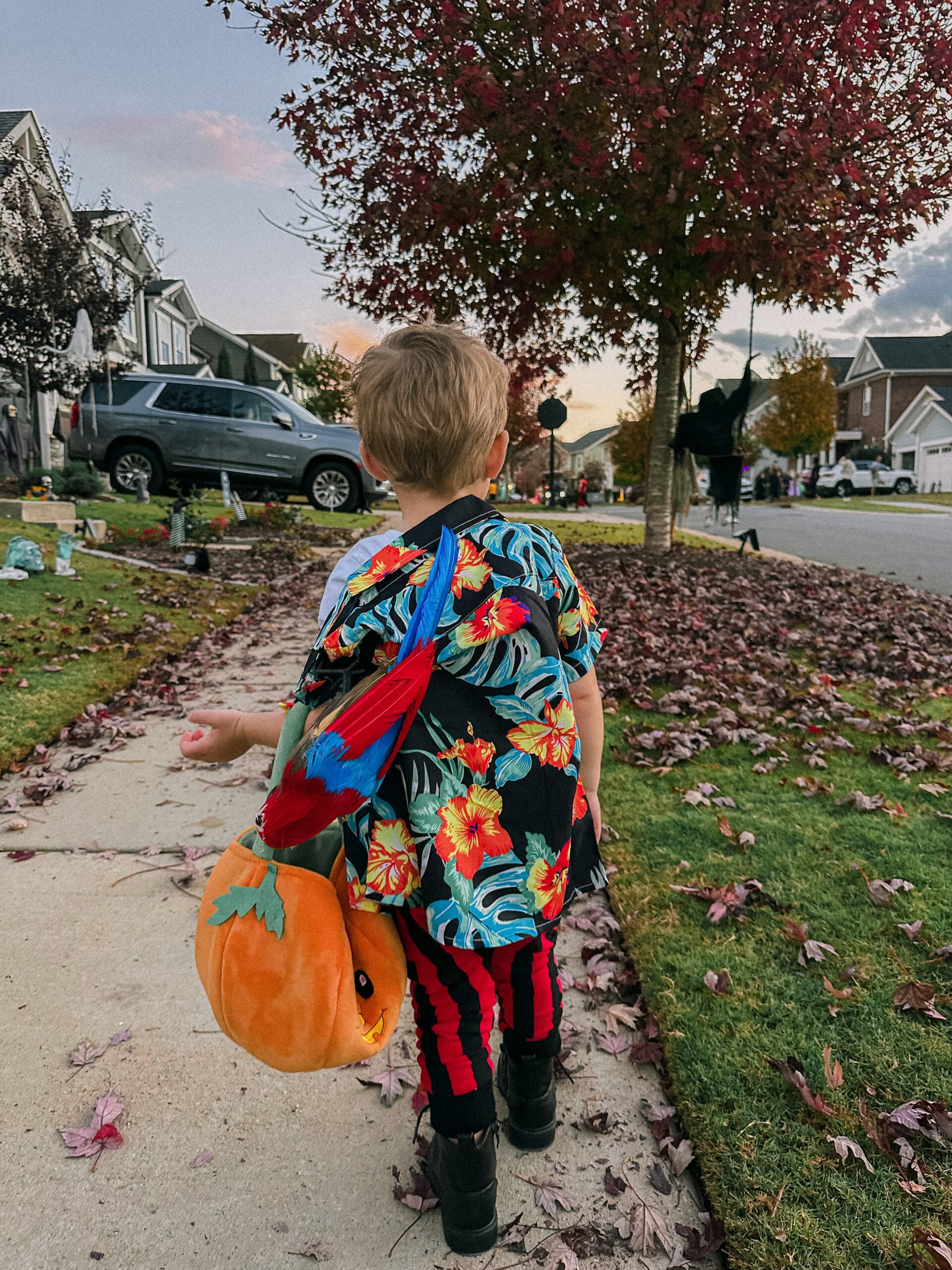 ace ventura costume, halloween costume, diy toddler costume, jim carry, halloween idea for toddler, ace ventura costume, toddler boy costume, costume ideas for toddler boy
