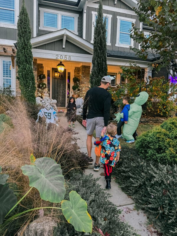 ace ventura costume, halloween costume, diy toddler costume, jim carry, halloween idea for toddler, ace ventura costume, toddler boy costume, costume ideas for toddler boy