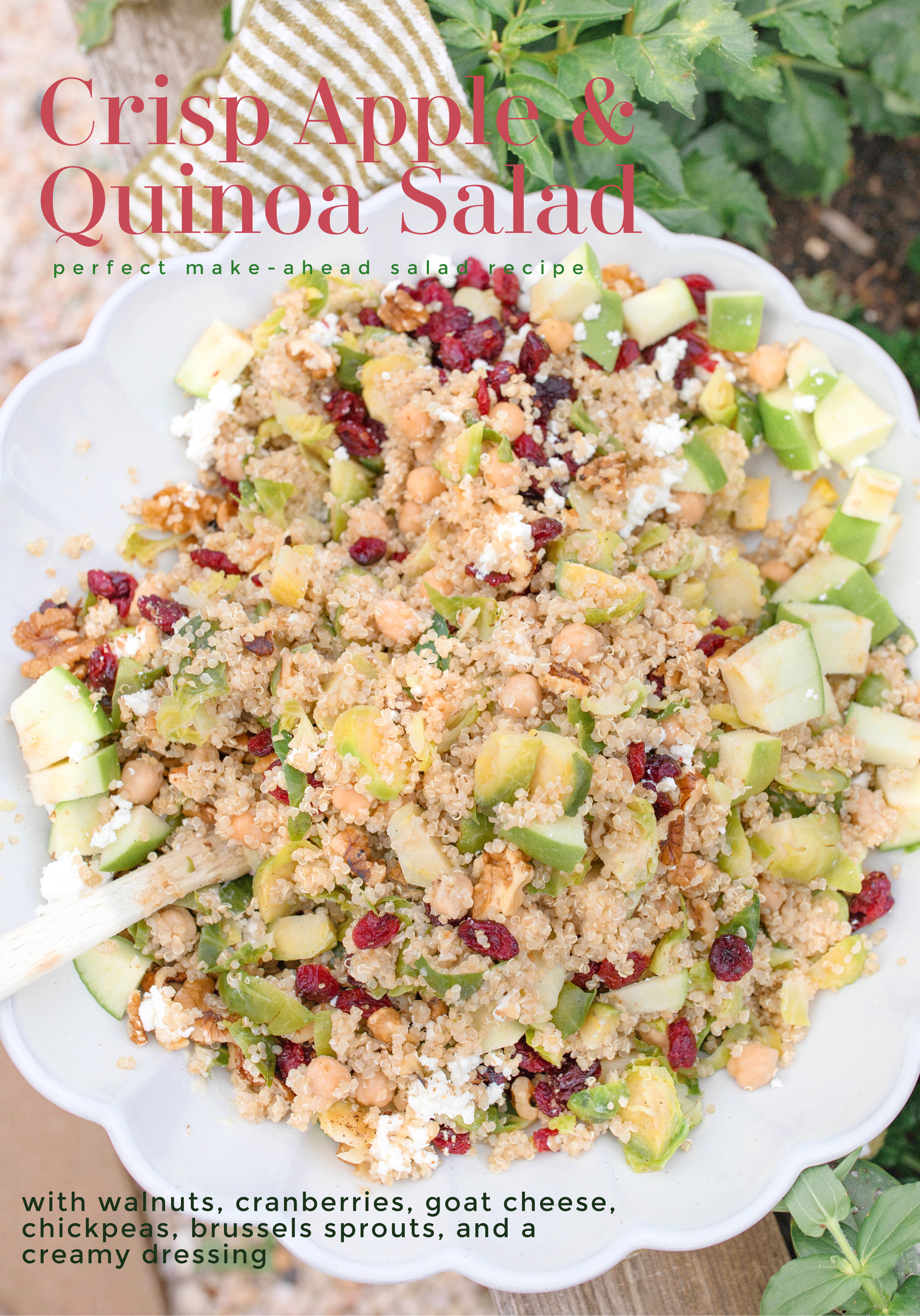 healthy salad, quinoa salad, brussels sprouts, cranberries, green apple salad, walnut salad, goat cheese, chickpeas, vegetarian, healthy salad, make ahead salad, brussels, easy quick salad recipe, gluten free, high protein, healthy eating, recipes for the family, eat better, diet, cranberries, winter, warm, filling salad