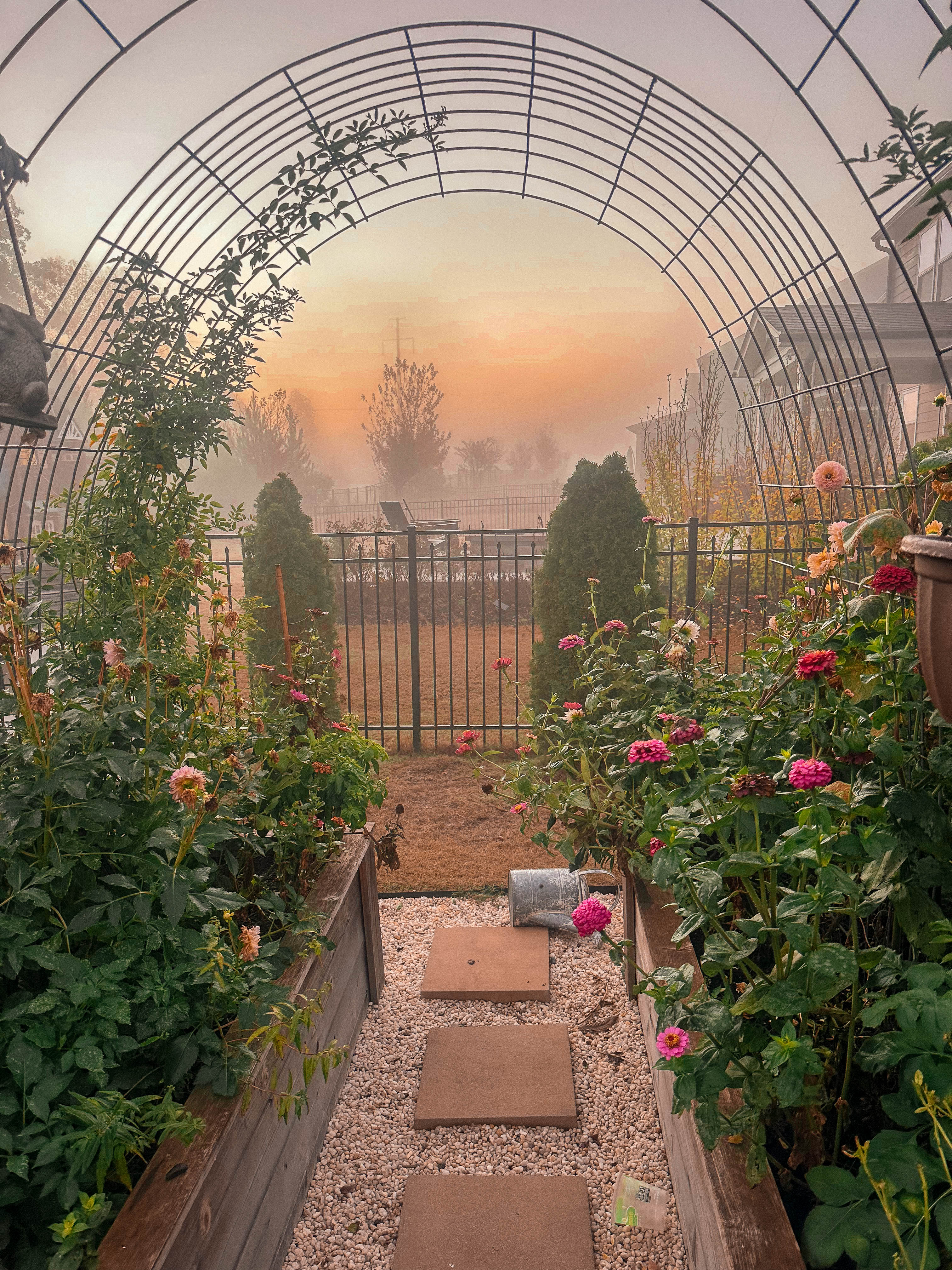 motherhood, toddler, lifestyle blog, mom, mom blog, pregnancy, boy mom, fall, food, halloween, dinner, lifestyle, toddler halloween costume, ballantyne, pop up bagels, skykid coffee, the bowl, flower child, healthy hot cocoa, sourdough, jalapeno cheddar, recipe for bread, gardening