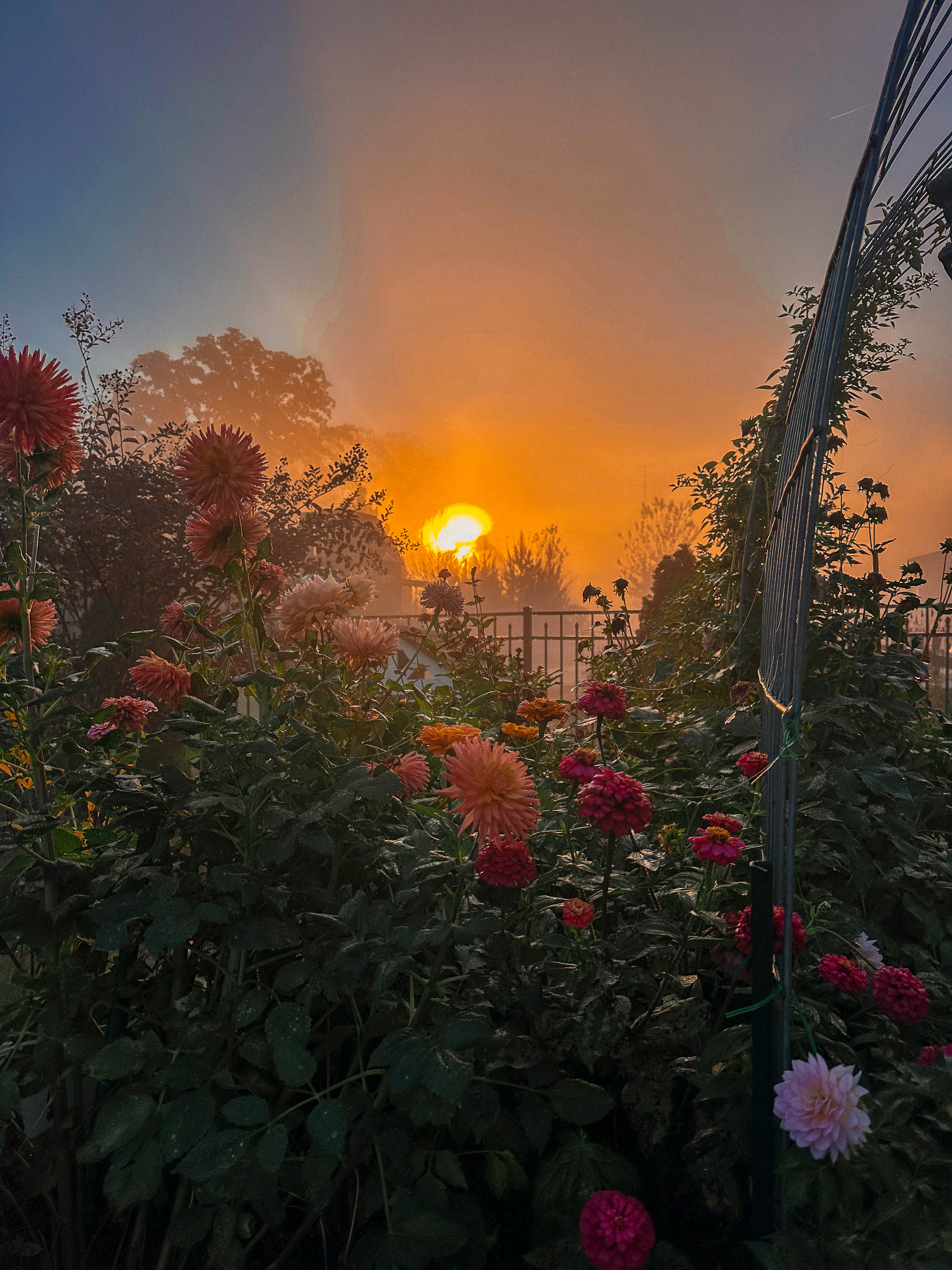 motherhood, toddler, lifestyle blog, mom, mom blog, pregnancy, boy mom, fall, food, halloween, dinner, lifestyle, toddler halloween costume, ballantyne, pop up bagels, skykid coffee, the bowl, flower child, healthy hot cocoa, sourdough, jalapeno cheddar, recipe for bread