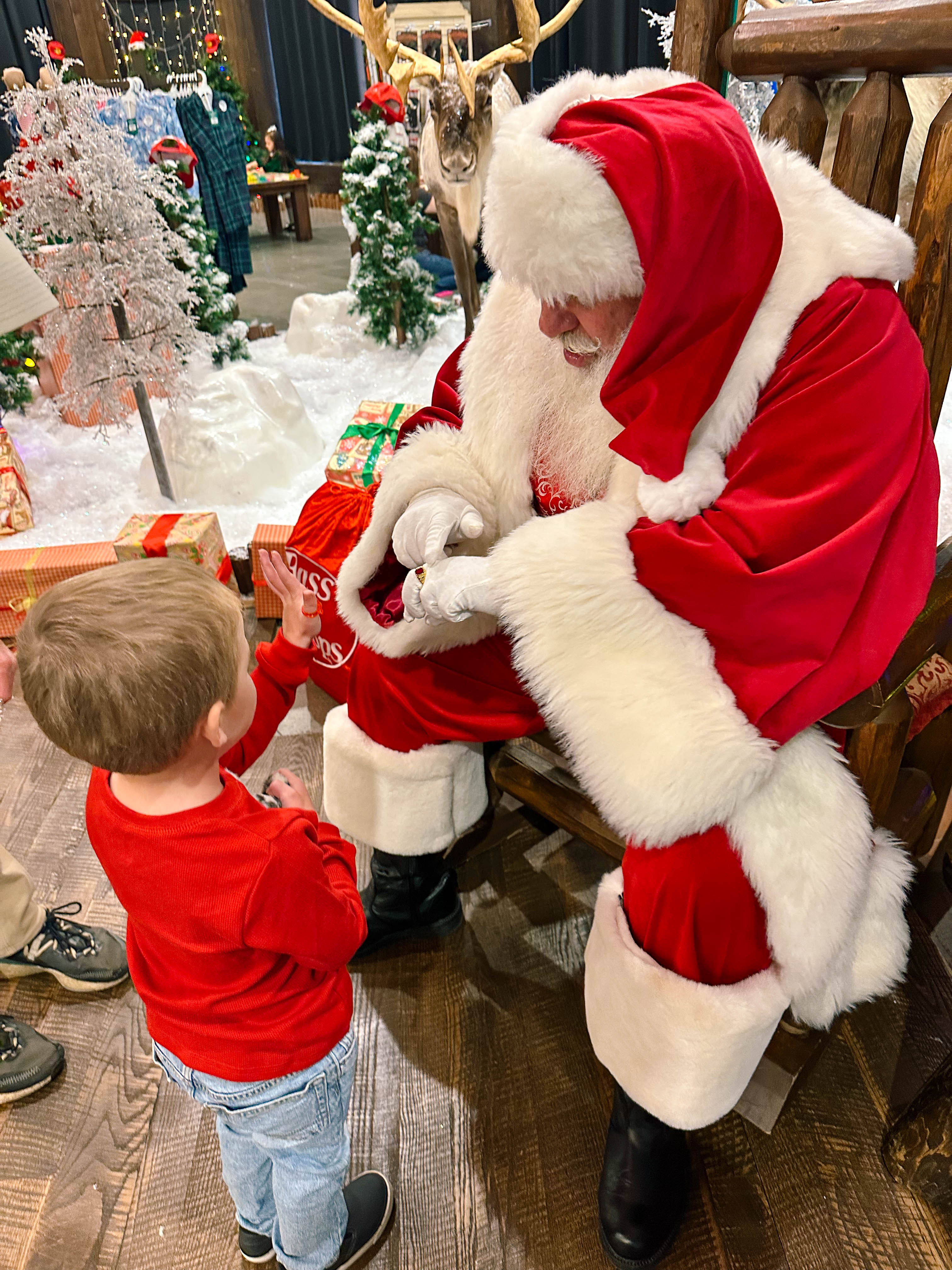 motherhood, toddler, lifestyle blog, mom, mom blog, pregnancy, boy mom, fall, food, halloween, dinner, lifestyle, toddler halloween costume, ballantyne, pop up bagels, skykid coffee, the bowl, flower child, healthy hot cocoa, sourdough, jalapeno cheddar, recipe for bread, gardening