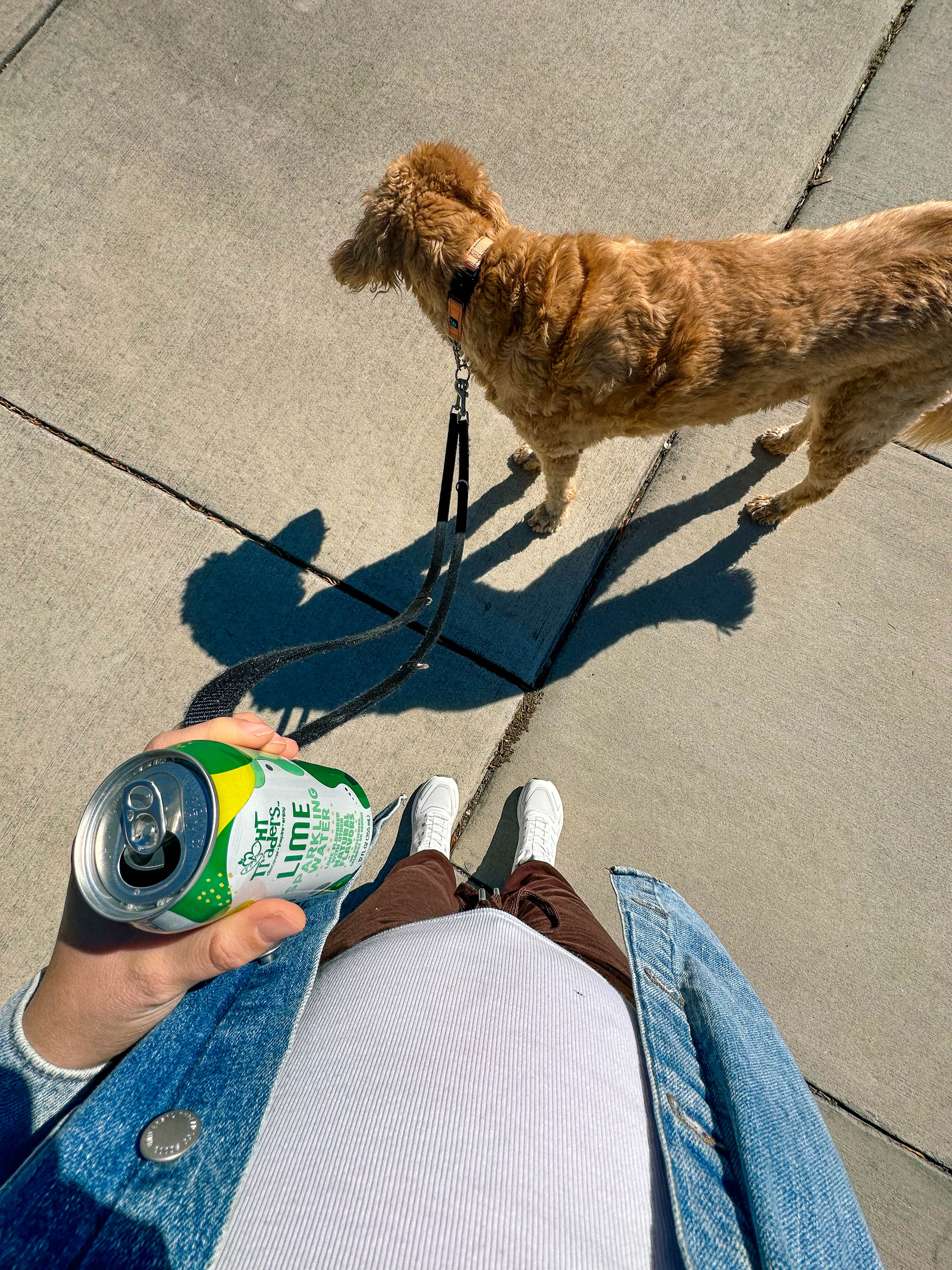 motherhood, toddler, lifestyle blog, mom, mom blog, pregnancy, boy mom, fall, food, halloween, dinner, lifestyle, toddler halloween costume, ballantyne, pop up bagels, skykid coffee, the bowl, flower child, healthy hot cocoa, sourdough, jalapeno cheddar, recipe for bread, gardening