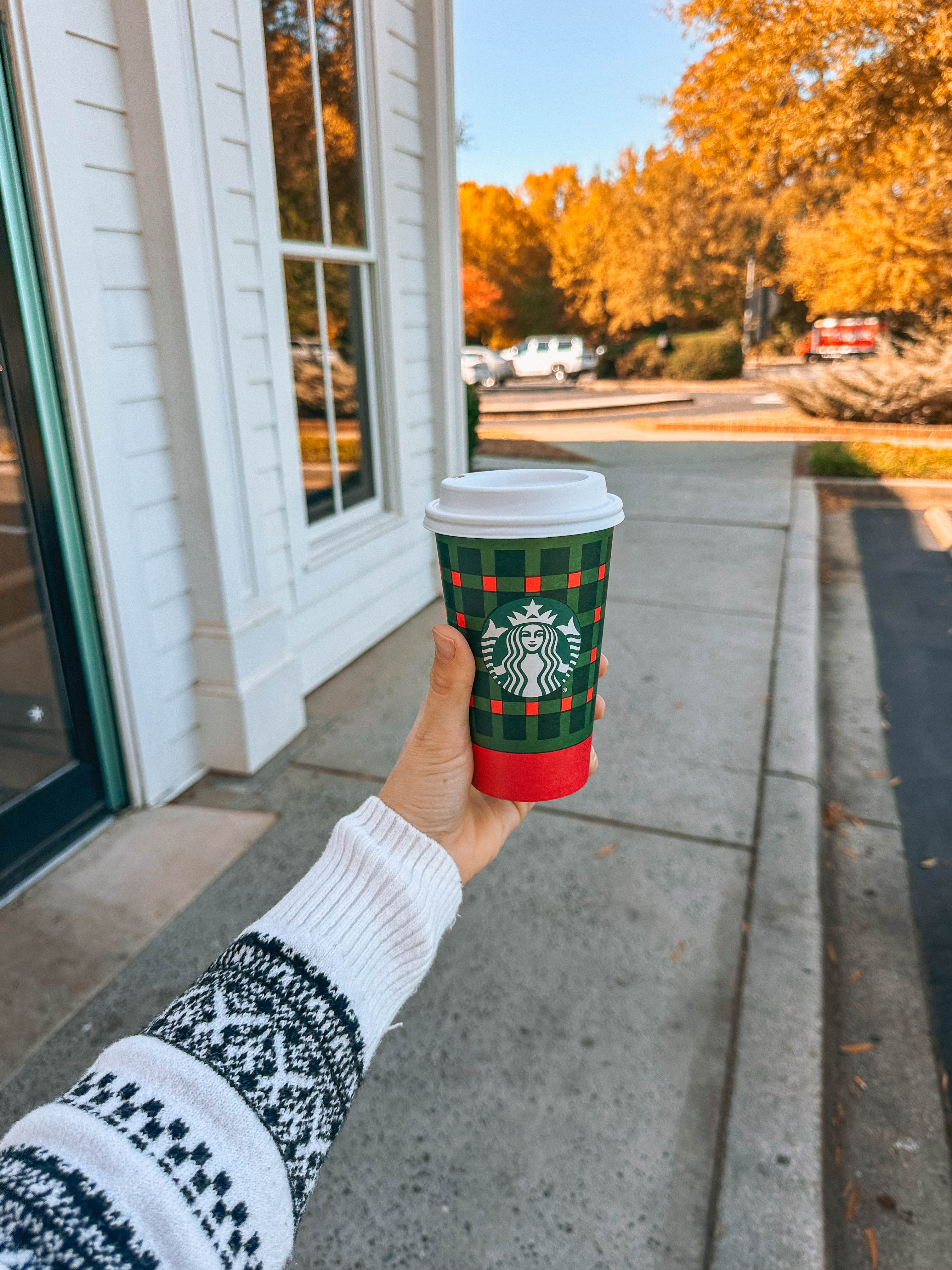 motherhood, toddler, lifestyle blog, mom, mom blog, pregnancy, boy mom, fall, food, halloween, dinner, lifestyle, toddler halloween costume, ballantyne, pop up bagels, skykid coffee, the bowl, flower child, healthy hot cocoa, sourdough, jalapeno cheddar, recipe for bread, gardening, f