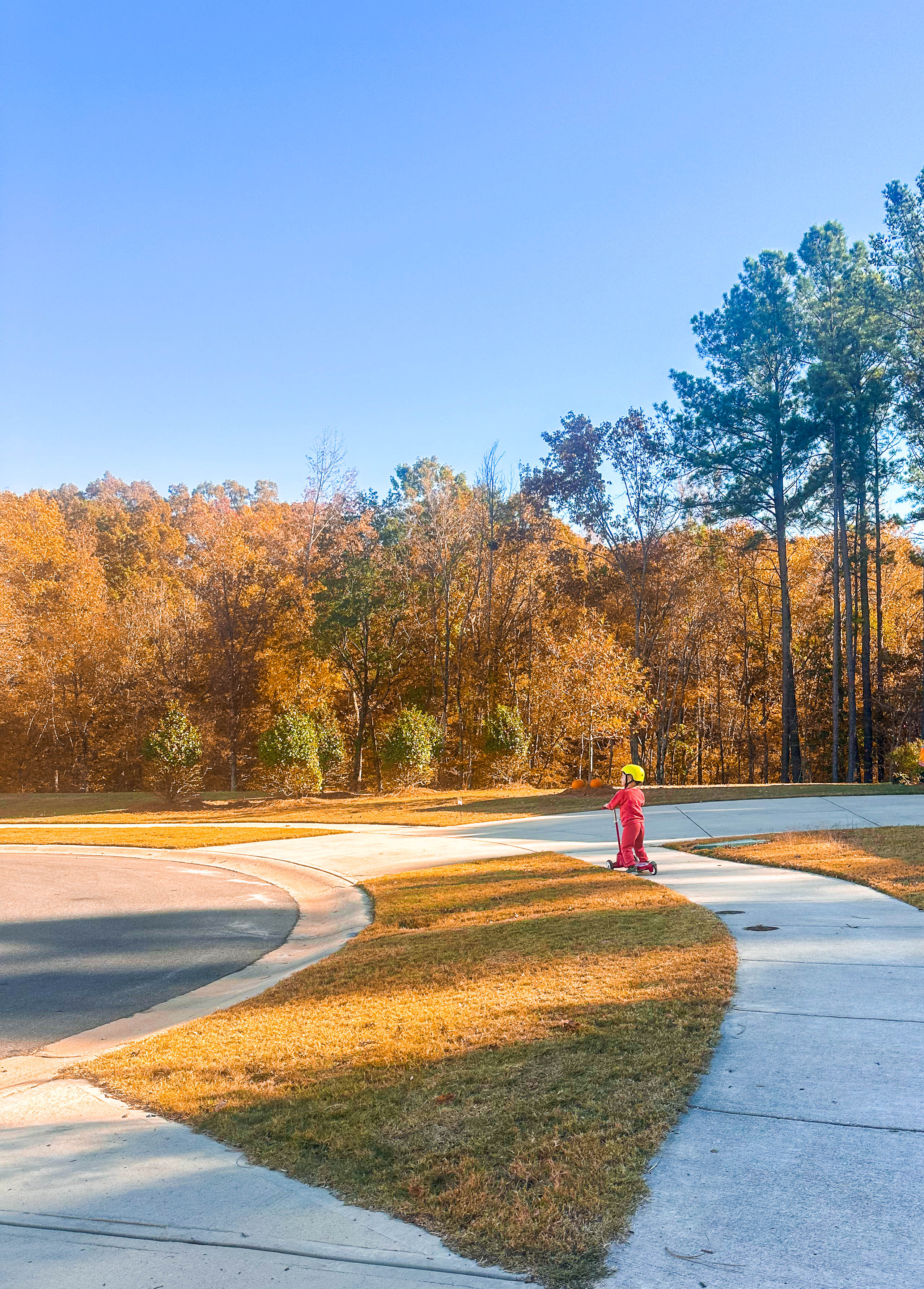 motherhood, toddler, lifestyle blog, mom, mom blog, pregnancy, boy mom, fall, food, halloween, dinner, lifestyle, toddler halloween costume, ballantyne, pop up bagels, skykid coffee, the bowl, flower child, healthy hot cocoa, sourdough, jalapeno cheddar, recipe for bread, gardening, f