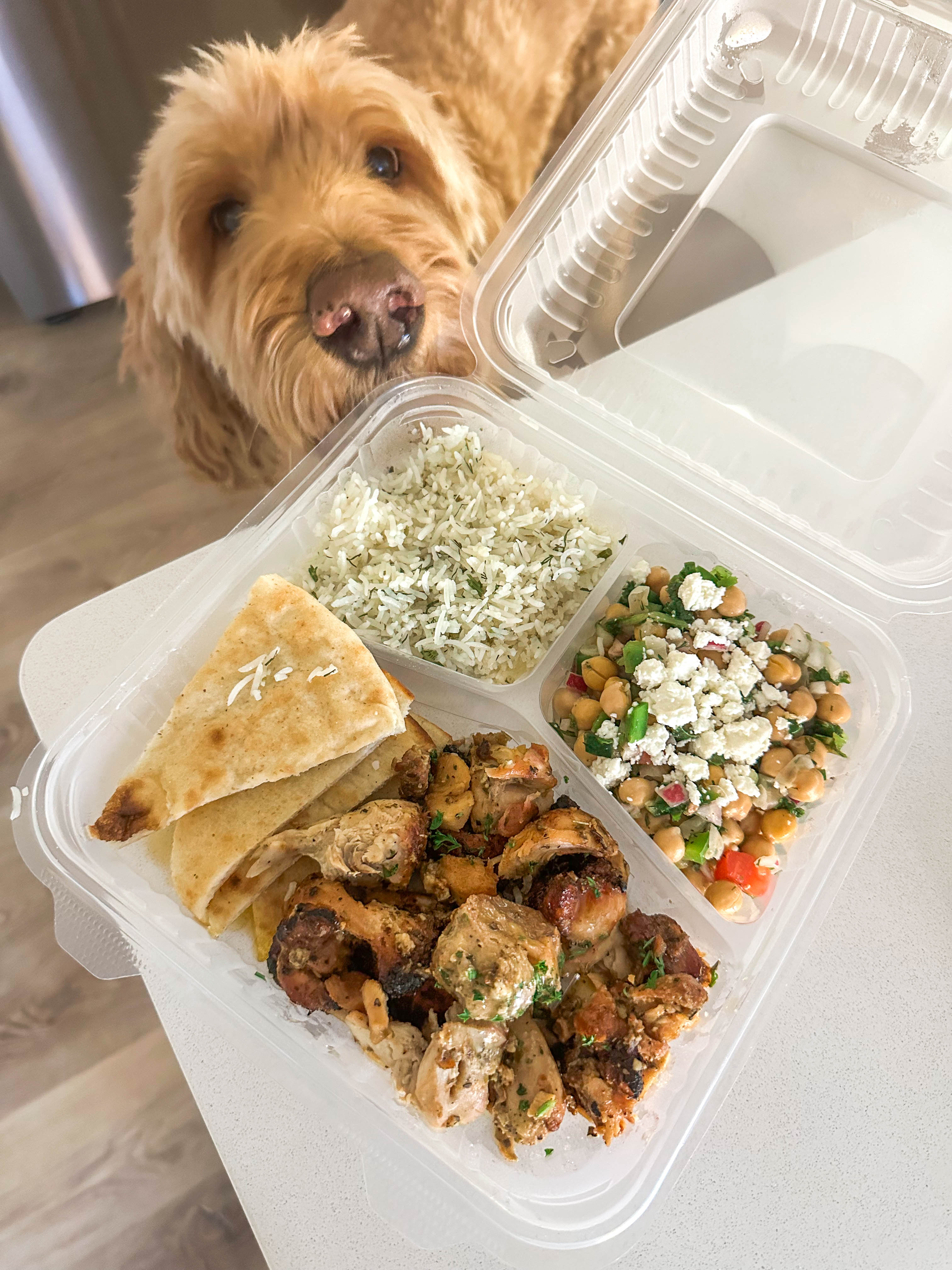 motherhood, toddler, lifestyle blog, mom, mom blog, pregnancy, boy mom, fall, food, halloween, dinner, lifestyle, toddler halloween costume, ballantyne, pop up bagels, skykid coffee, the bowl, flower child, healthy hot cocoa, sourdough, jalapeno cheddar, recipe for bread, gardening, f