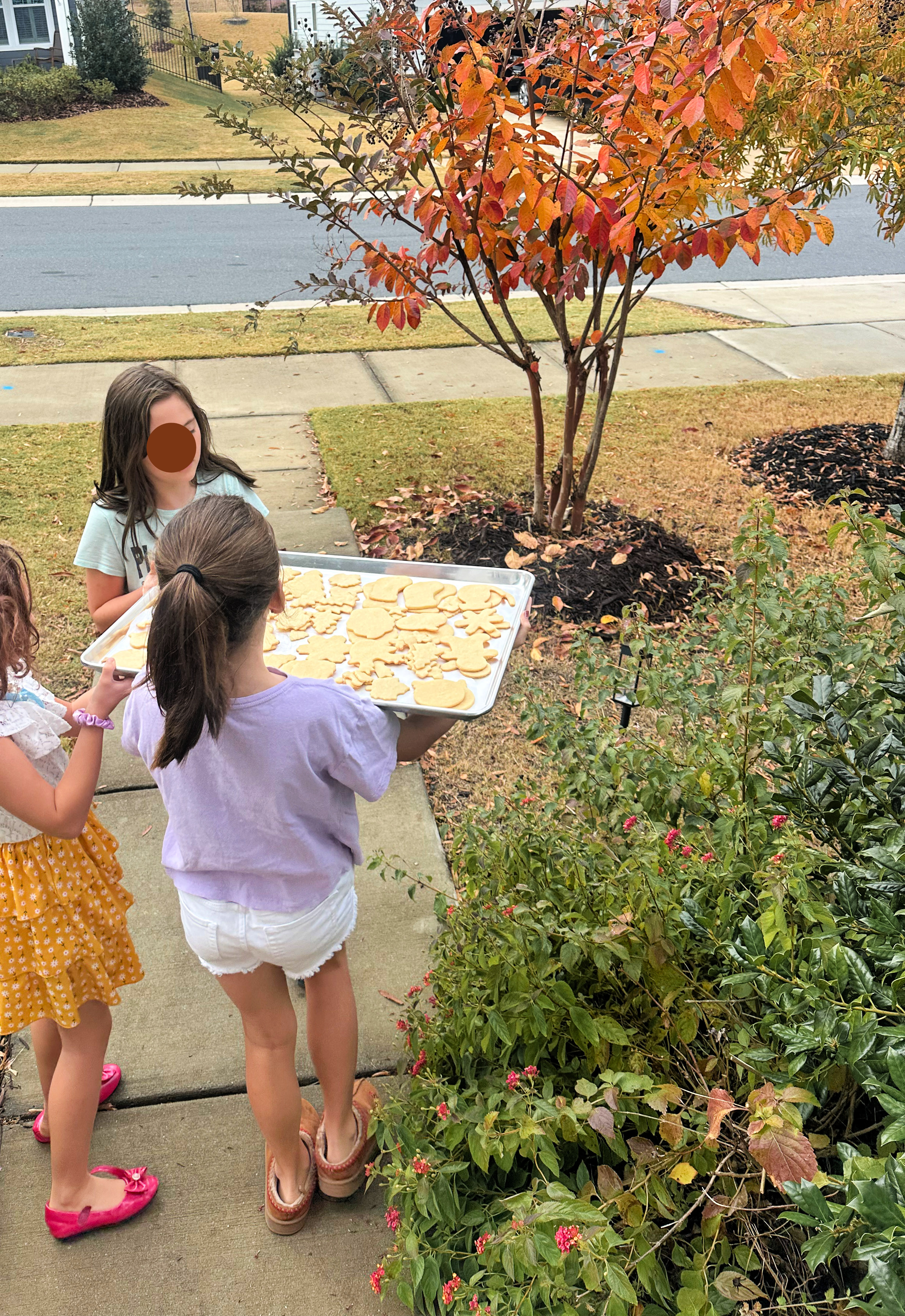 third trimester, pregnancy, motherhood, lifestyle blog, recap post, toddler mom, charlotte nc, fort mill sc, food, the bowl ballantyne, salty donut, sourdough, jalapeno cheddar