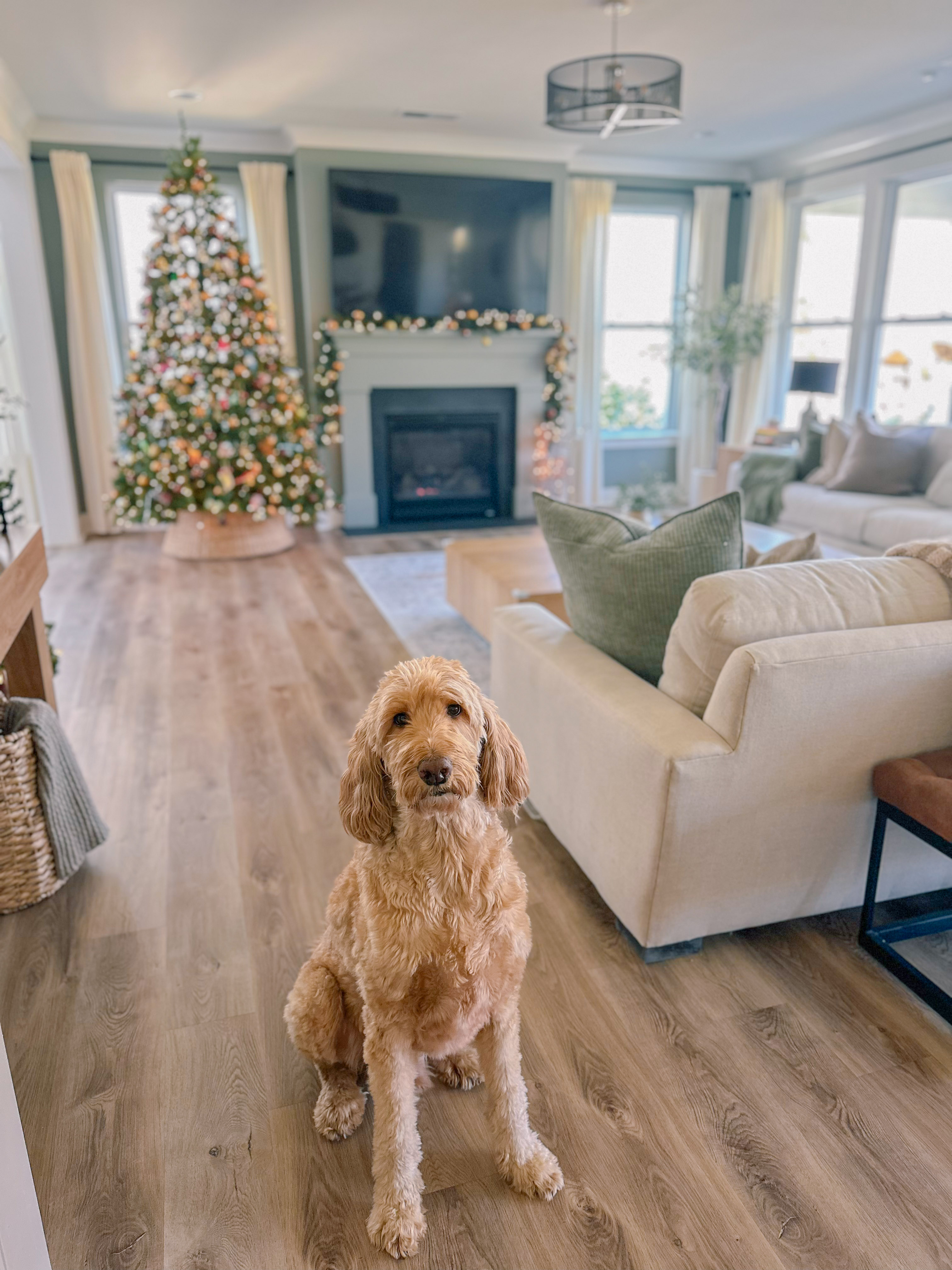 third trimester, pregnancy, motherhood, lifestyle blog, recap post, toddler mom, charlotte nc, fort mill sc, food, the bowl ballantyne, salty donut, sourdough, jalapeno cheddar, sourdough pizza, rock hill coffee