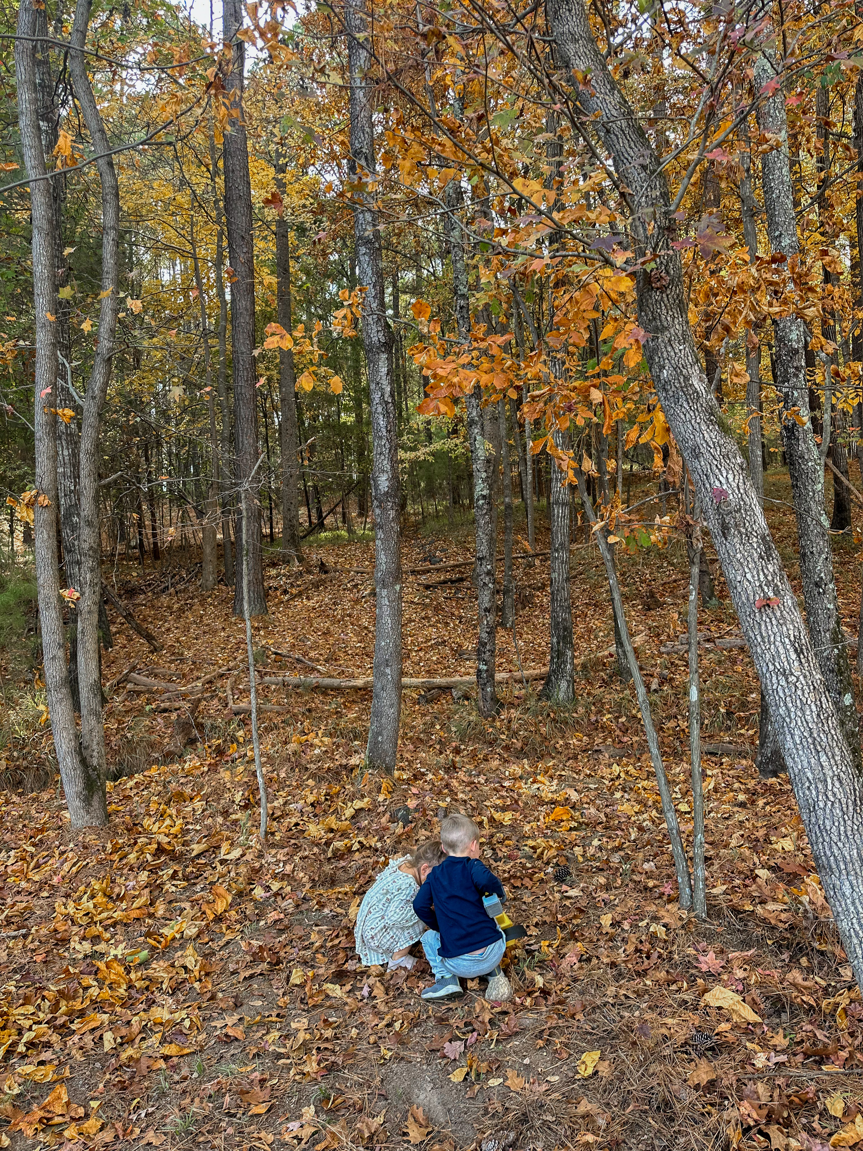 third trimester, pregnancy, motherhood, lifestyle blog, recap post, toddler mom, charlotte nc, fort mill sc, food, the bowl ballantyne, salty donut, sourdough, jalapeno cheddar, sourdough pizza, rock hill coffee