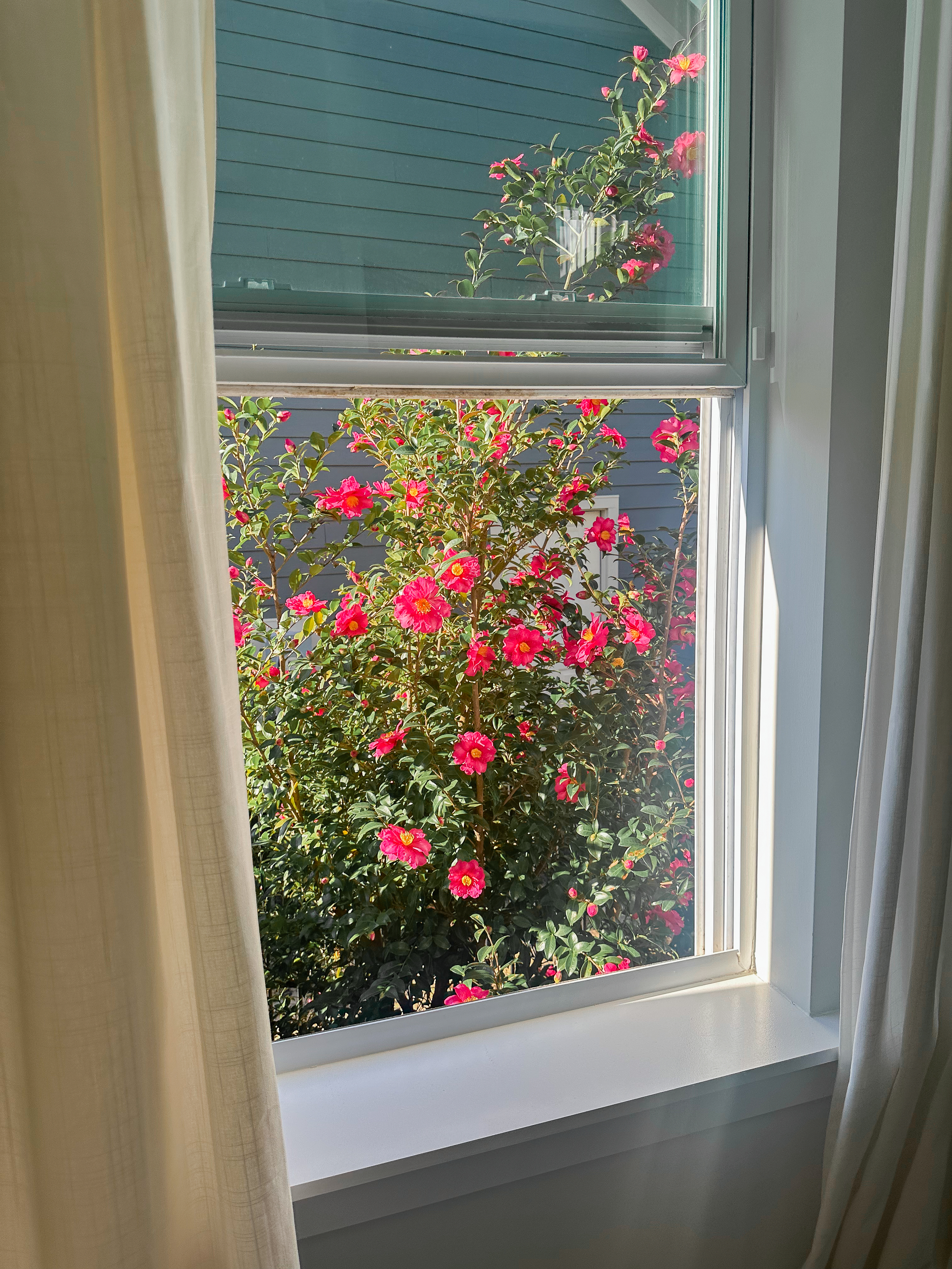 third trimester, pregnancy, motherhood, lifestyle blog, recap post, toddler mom, charlotte nc, fort mill sc, food, the bowl ballantyne, salty donut, sourdough, jalapeno cheddar, sourdough pizza, rock hill coffee. flora coffee