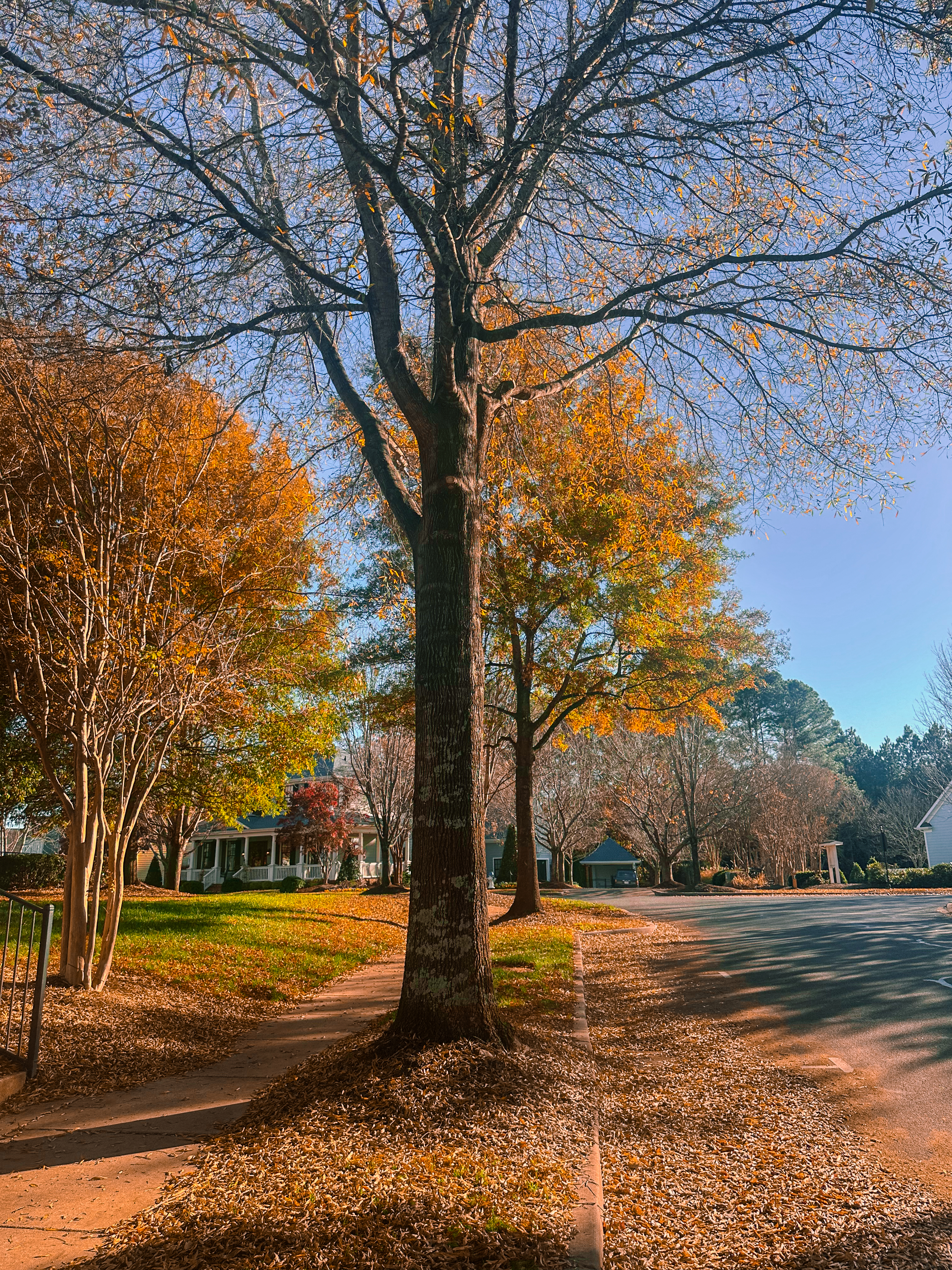 third trimester, pregnancy, motherhood, lifestyle blog, recap post, toddler mom, charlotte nc, fort mill sc, food, the bowl ballantyne, salty donut, sourdough, jalapeno cheddar, sourdough pizza, rock hill coffee. flora coffee