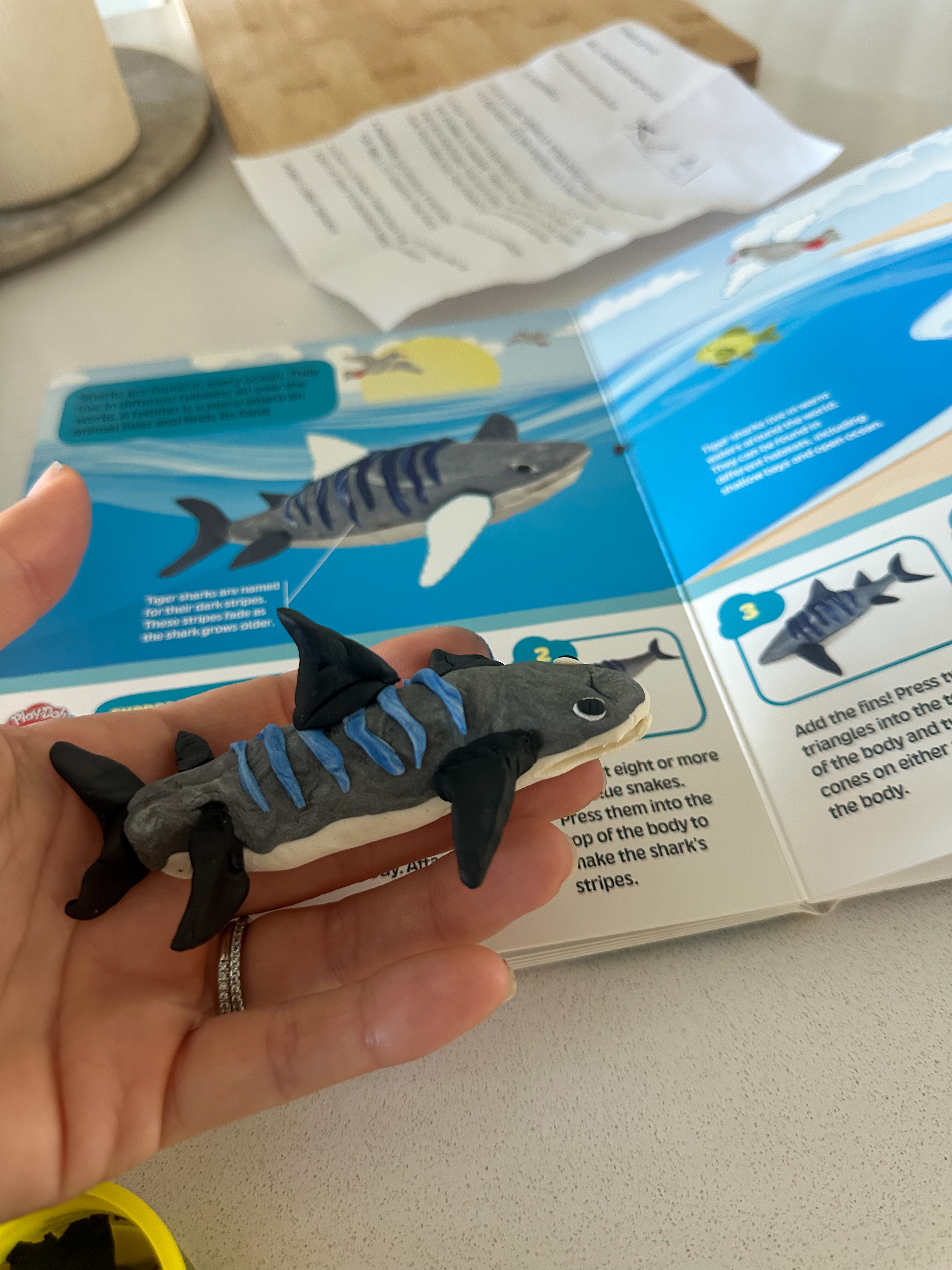 third trimester, pregnancy, motherhood, lifestyle blog, recap post, toddler mom, charlotte nc, fort mill sc, food, the bowl ballantyne, salty donut, sourdough, jalapeno cheddar, sourdough pizza, rock hill coffee. flora coffee