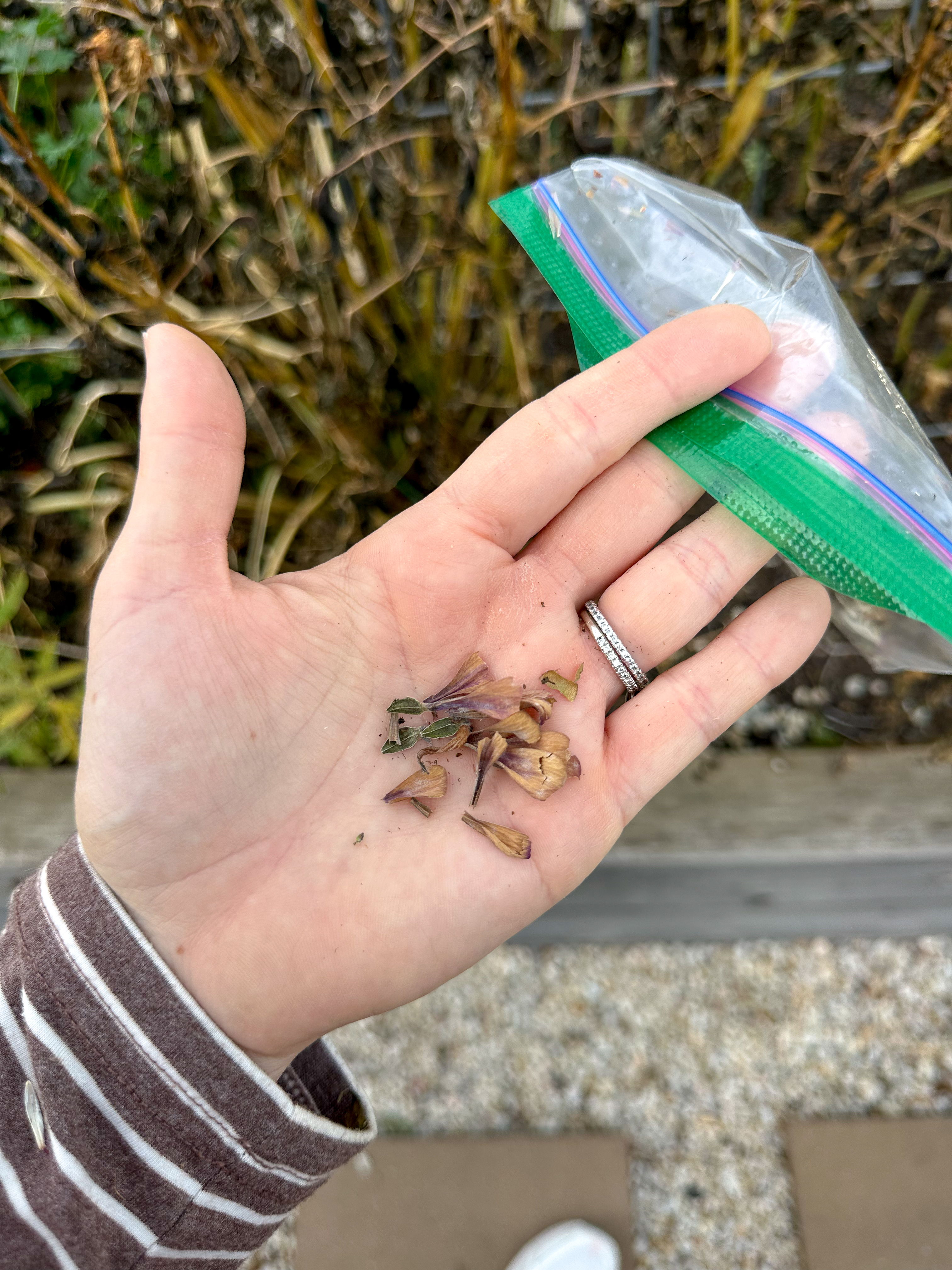 third trimester, pregnancy, motherhood, lifestyle blog, recap post, toddler mom, charlotte nc, fort mill sc, food, the bowl ballantyne, salty donut, sourdough, jalapeno cheddar, sourdough pizza, rock hill coffee. flora coffee