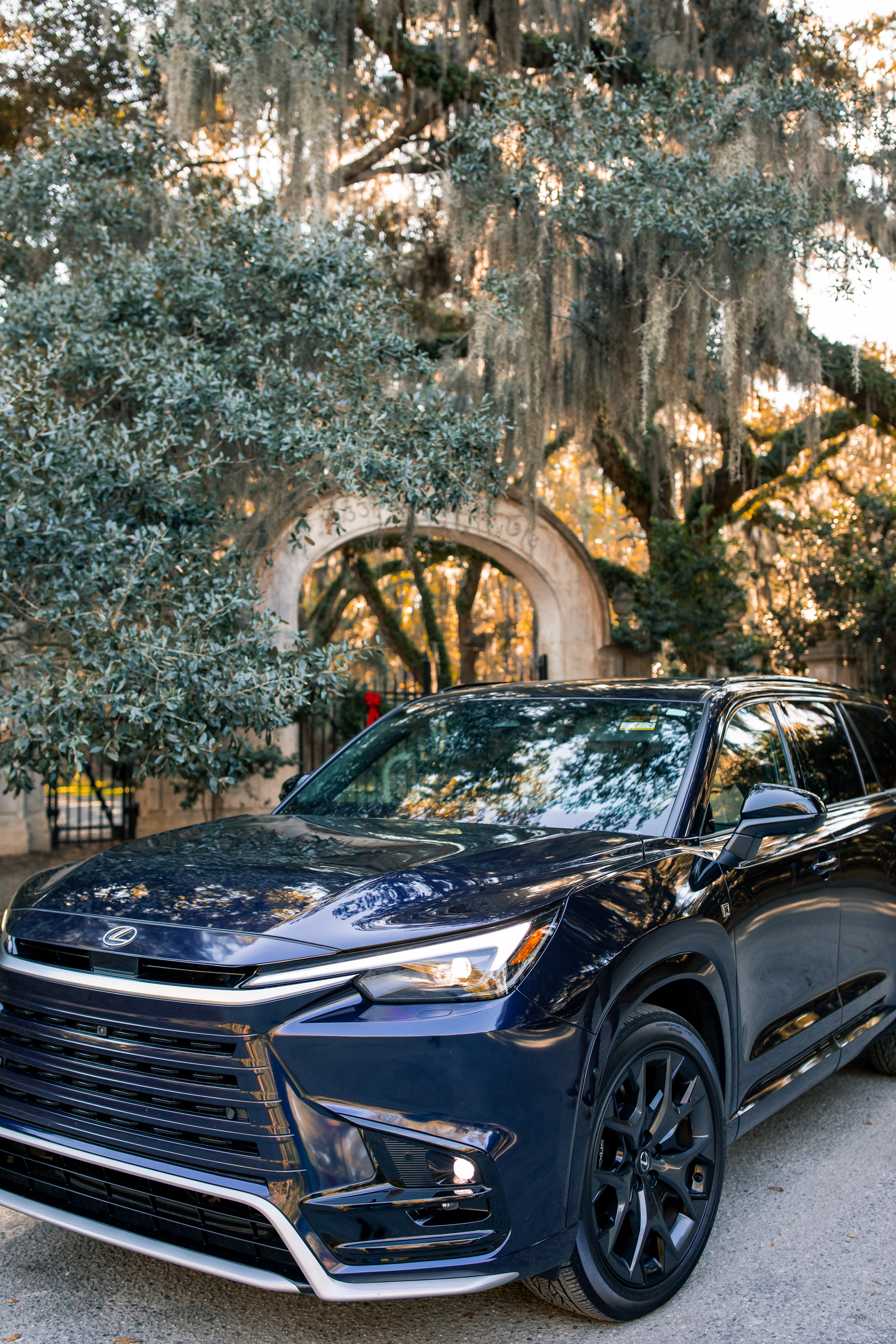 Lowcountry with lexus, savannha georiga, lexus cars, lexusus, TX 500h F Sport AWD, cars, roadtrip, suvs, travel guide, georgia, collins quarter, hotel bardo, where to stay, savannah bed and breakfast, flora and fauna, riverstreet, savannah walking tour, asher and rye