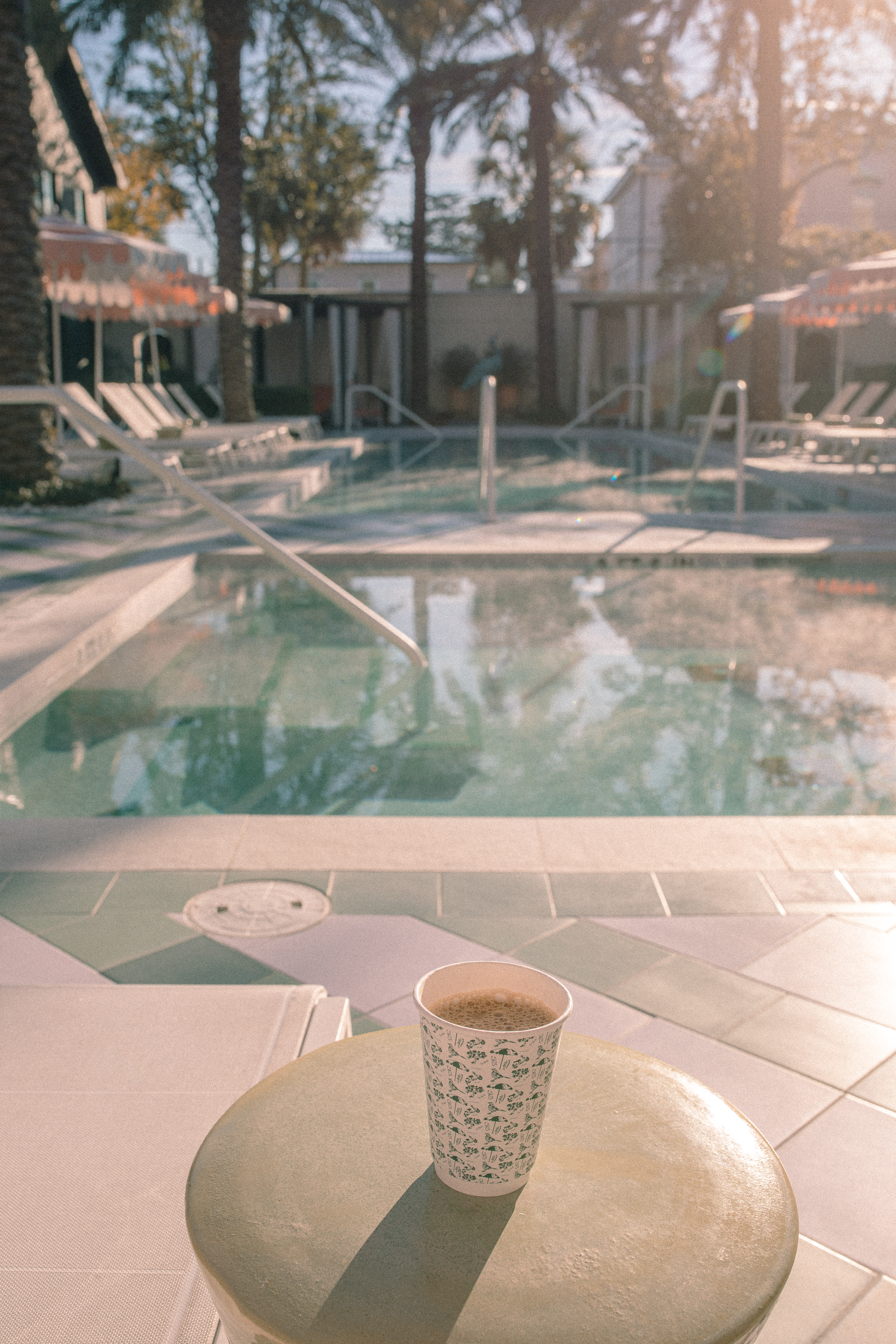 Lowcountry with lexus, savannha georiga, lexus cars, lexusus, TX 500h F Sport AWD, cars, roadtrip, suvs, travel guide, georgia, collins quarter, hotel bardo, where to stay, savannah bed and breakfast, flora and fauna, riverstreet, savannah walking tour, asher and rye, saint bibiana cooking school, hotel bardo restaurants, cooking class