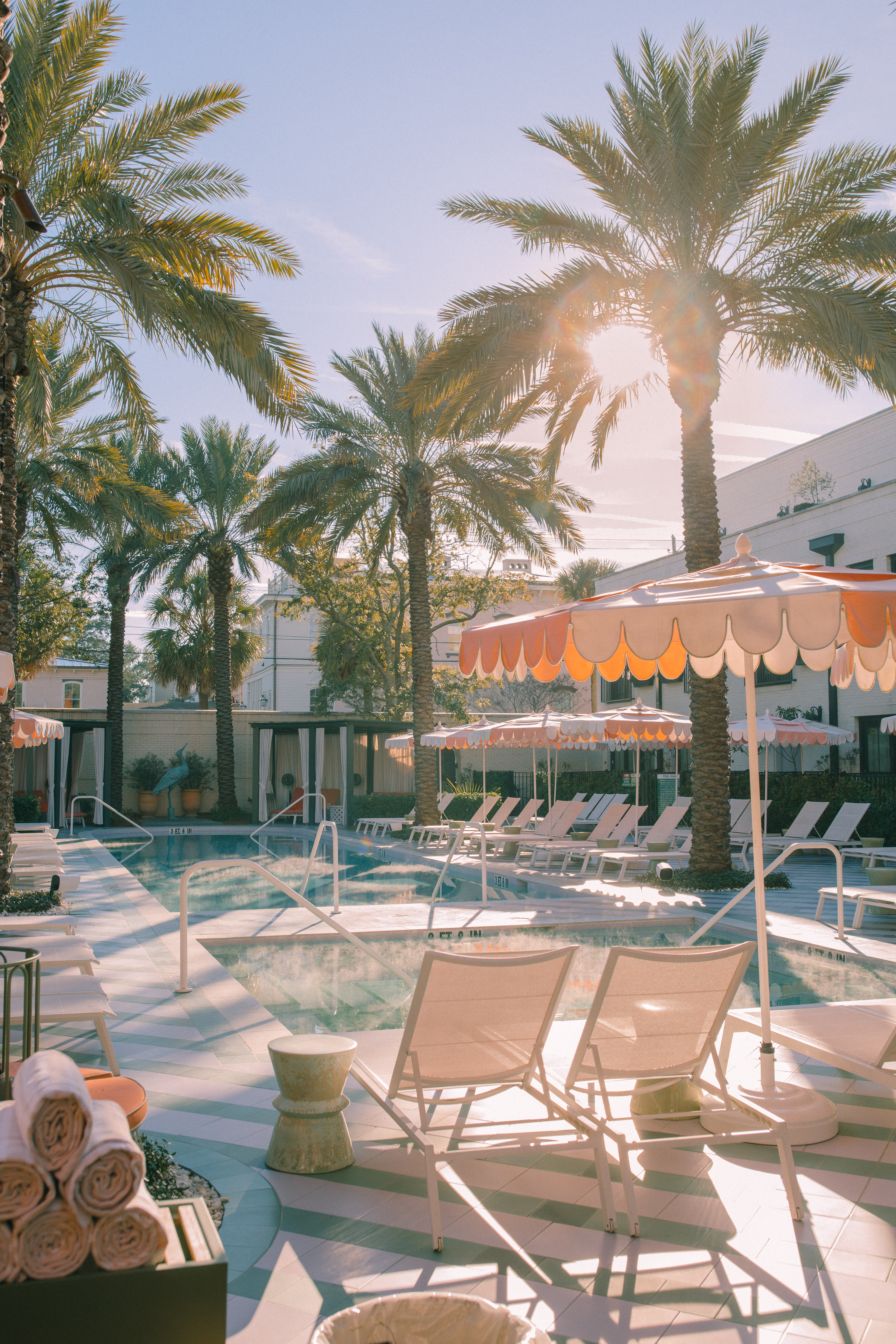 Lowcountry with lexus, savannha georiga, lexus cars, lexusus, TX 500h F Sport AWD, cars, roadtrip, suvs, travel guide, georgia, collins quarter, hotel bardo, where to stay, savannah bed and breakfast, flora and fauna, riverstreet, savannah walking tour, asher and rye, saint bibiana cooking school, hotel bardo restaurants, cooking class