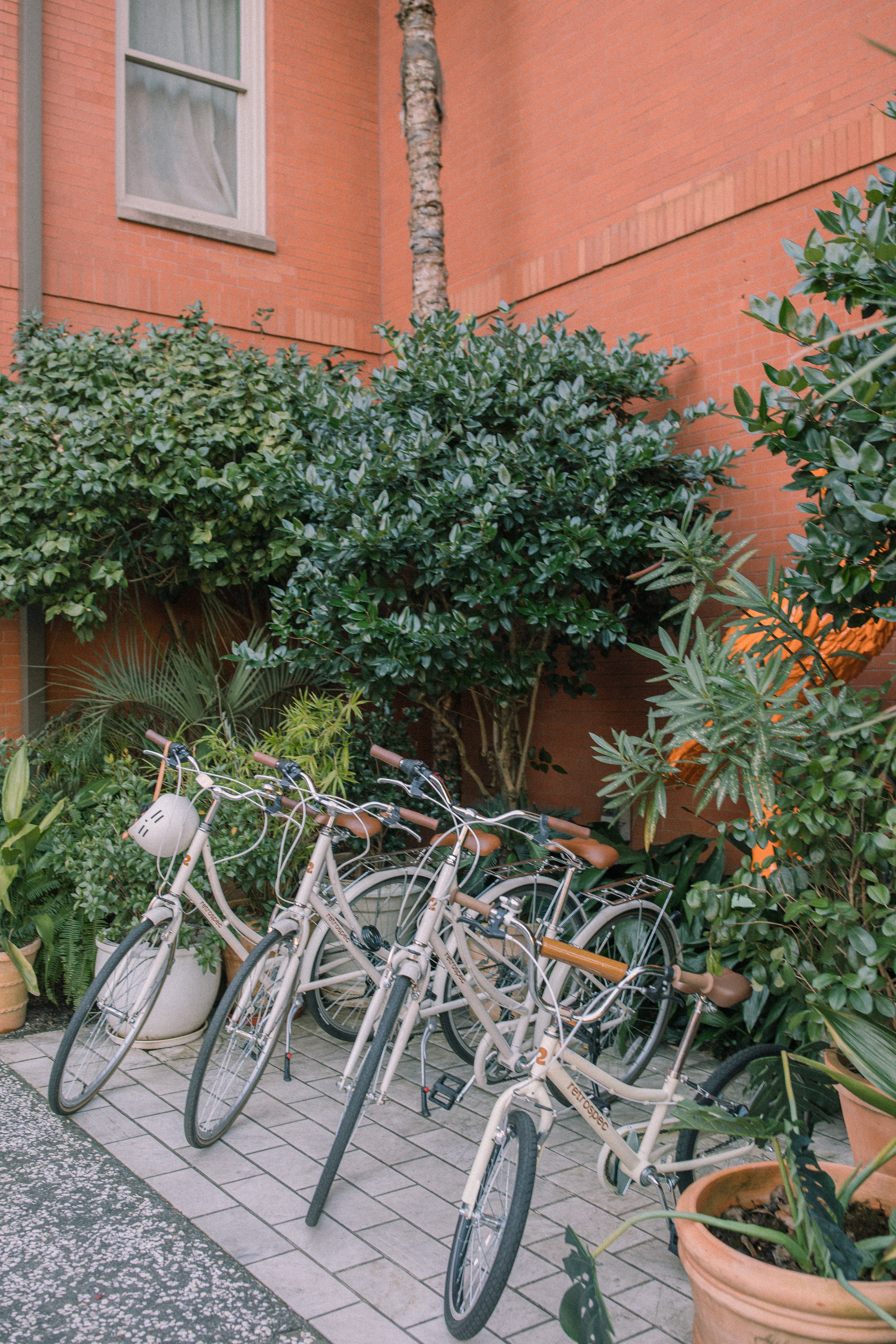 Lowcountry with lexus, savannha georiga, lexus cars, lexusus, TX 500h F Sport AWD, cars, roadtrip, suvs, travel guide, georgia, collins quarter, hotel bardo, where to stay, savannah bed and breakfast