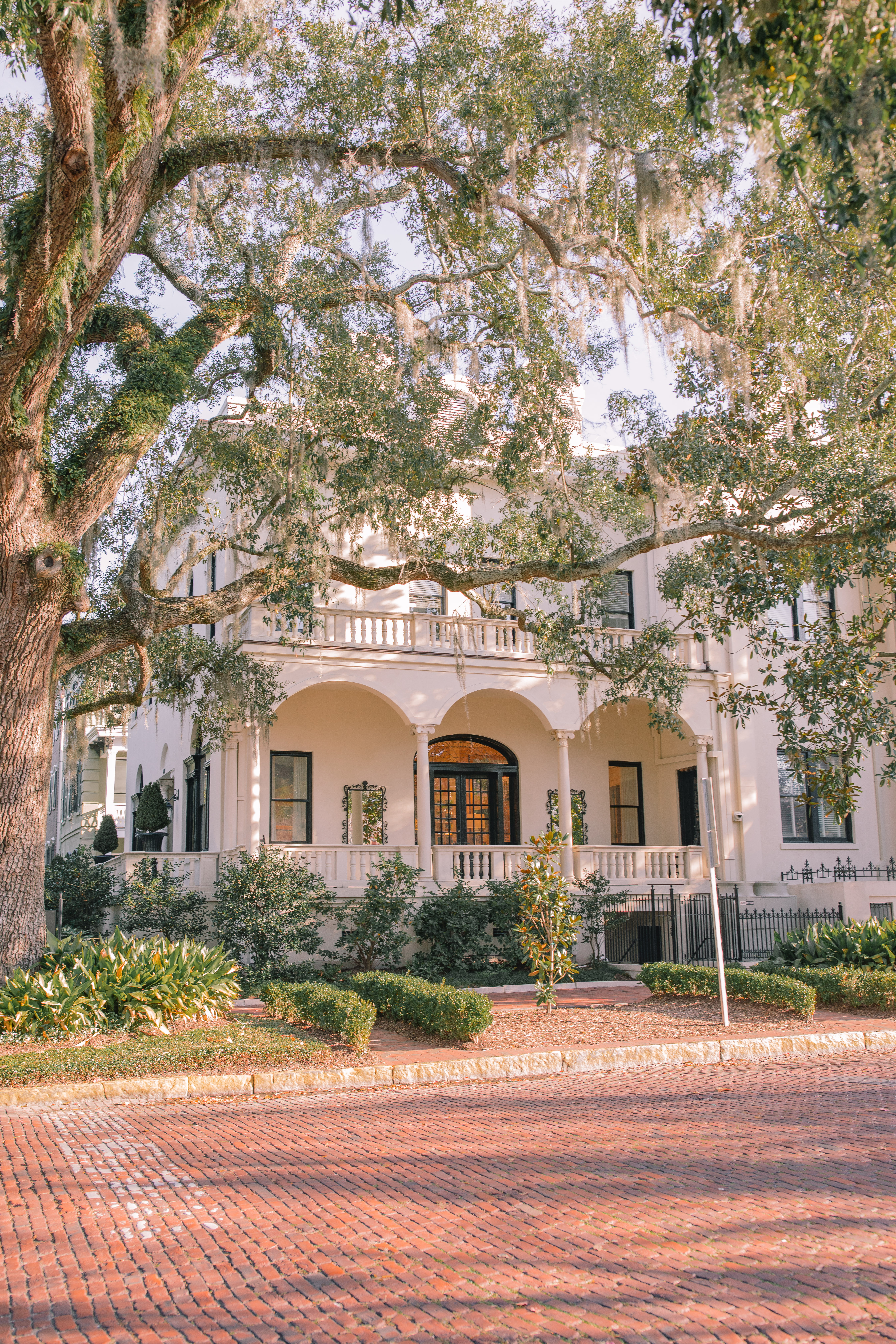 Lowcountry with lexus, savannha georiga, lexus cars, lexusus, TX 500h F Sport AWD, cars, roadtrip, suvs, travel guide, georgia, collins quarter, hotel bardo, where to stay, savannah bed and breakfast, flora and fauna, riverstreet, savannah walking tour, asher and rye, saint bibiana cooking school, hotel bardo restaurants, cooking class