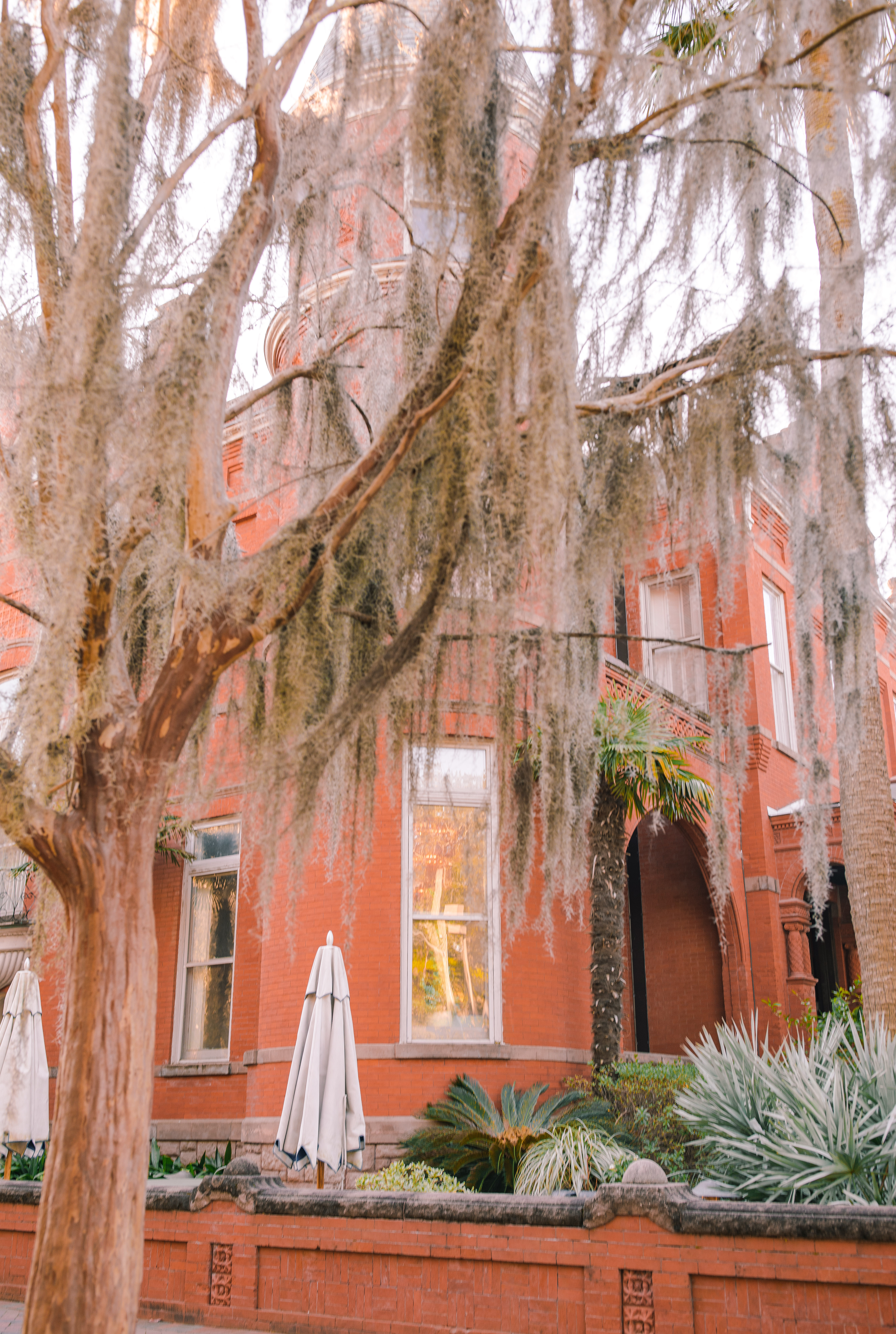 Lowcountry with lexus, savannha georiga, lexus cars, lexusus, TX 500h F Sport AWD, cars, roadtrip, suvs, travel guide, georgia, collins quarter, hotel bardo, where to stay, savannah bed and breakfast