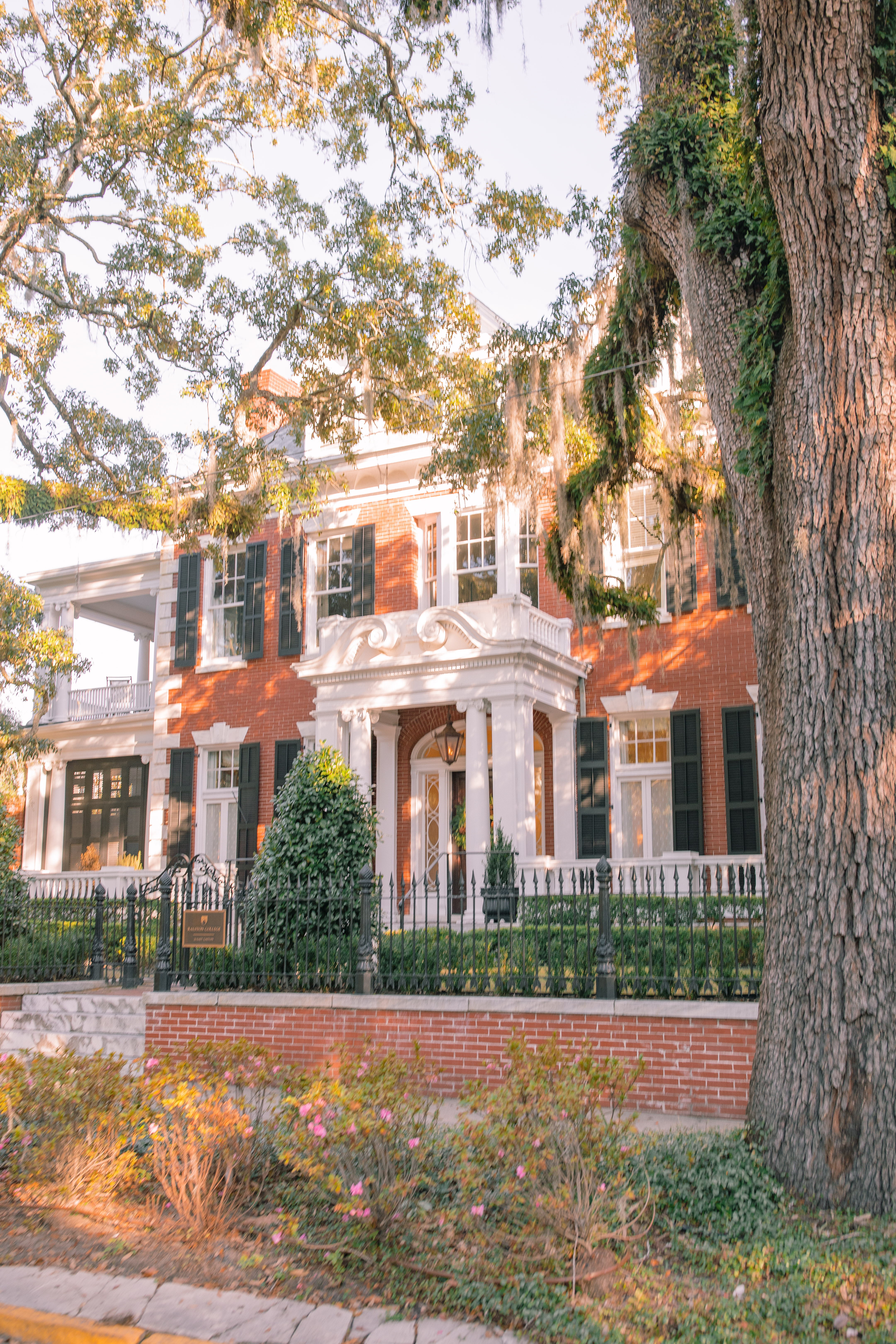 Lowcountry with lexus, savannha georiga, lexus cars, lexusus, TX 500h F Sport AWD, cars, roadtrip, suvs, travel guide, georgia, collins quarter, hotel bardo, where to stay, savannah bed and breakfast, flora and fauna, riverstreet, savannah walking tour