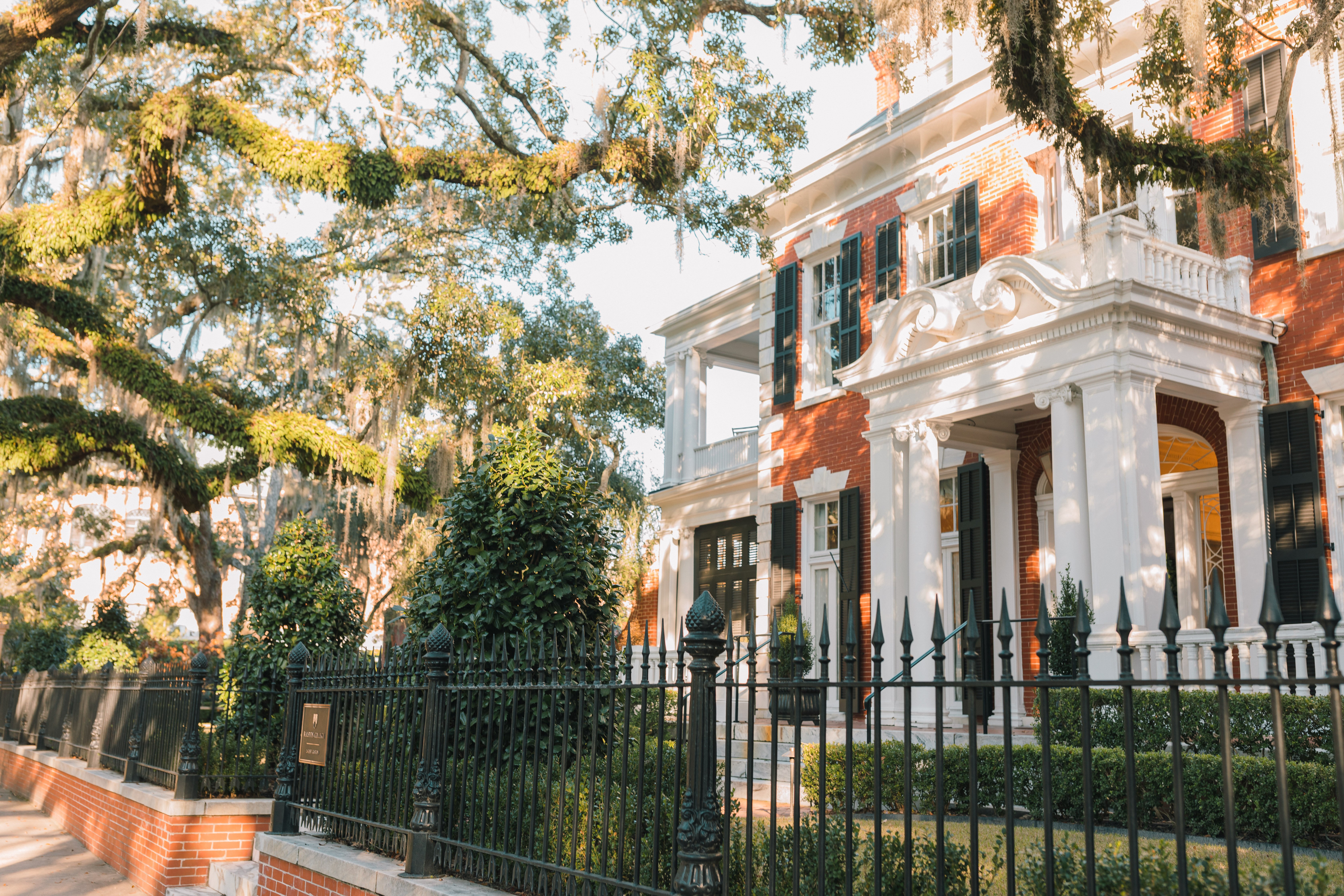 Lowcountry with lexus, savannha georiga, lexus cars, lexusus, TX 500h F Sport AWD, cars, roadtrip, suvs, travel guide, georgia, collins quarter, hotel bardo, where to stay, savannah bed and breakfast, flora and fauna, riverstreet, savannah walking tour