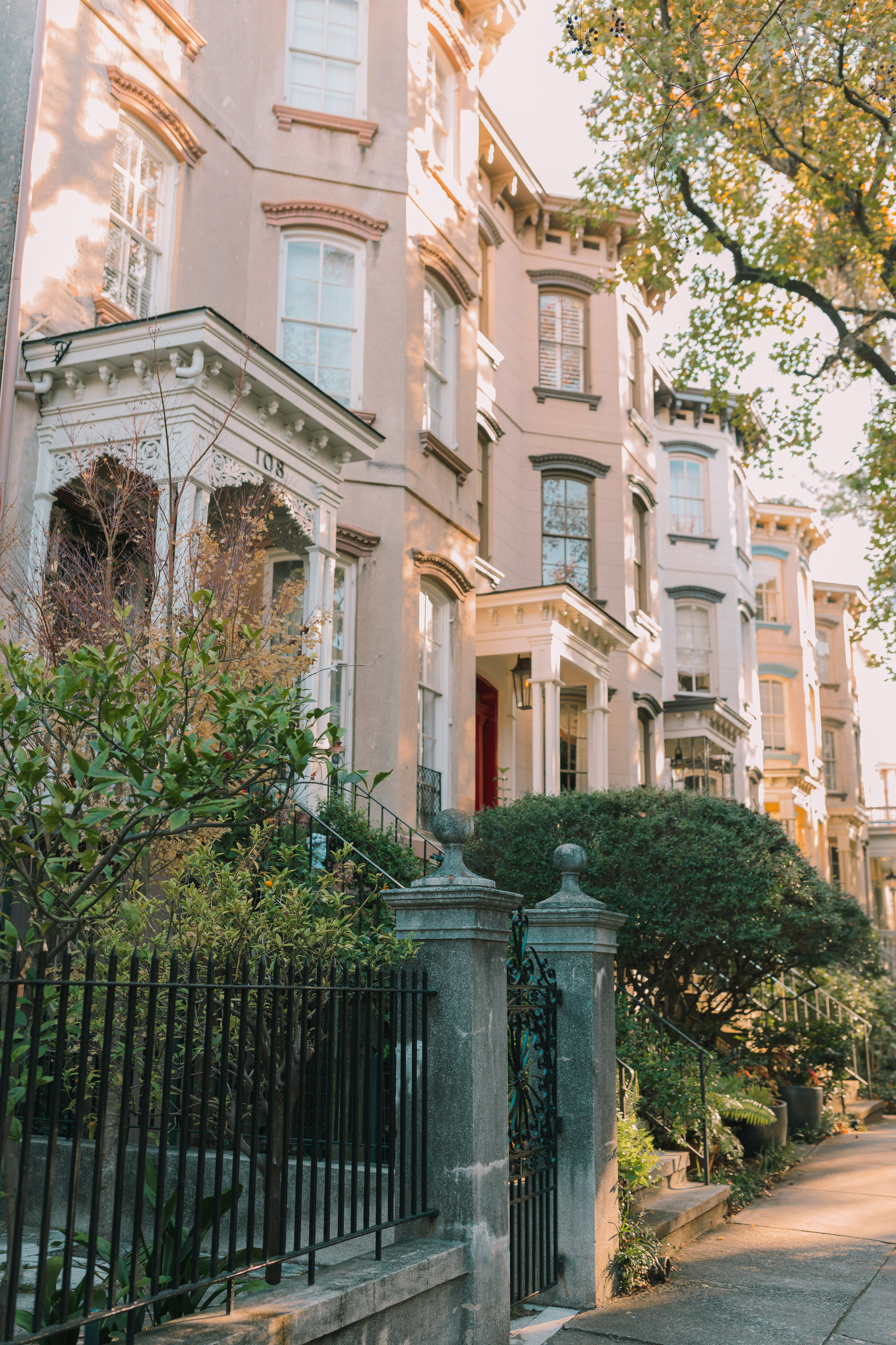 Lowcountry with lexus, savannha georiga, lexus cars, lexusus, TX 500h F Sport AWD, cars, roadtrip, suvs, travel guide, georgia, collins quarter, hotel bardo, where to stay, savannah bed and breakfast, flora and fauna, riverstreet, savannah walking tour