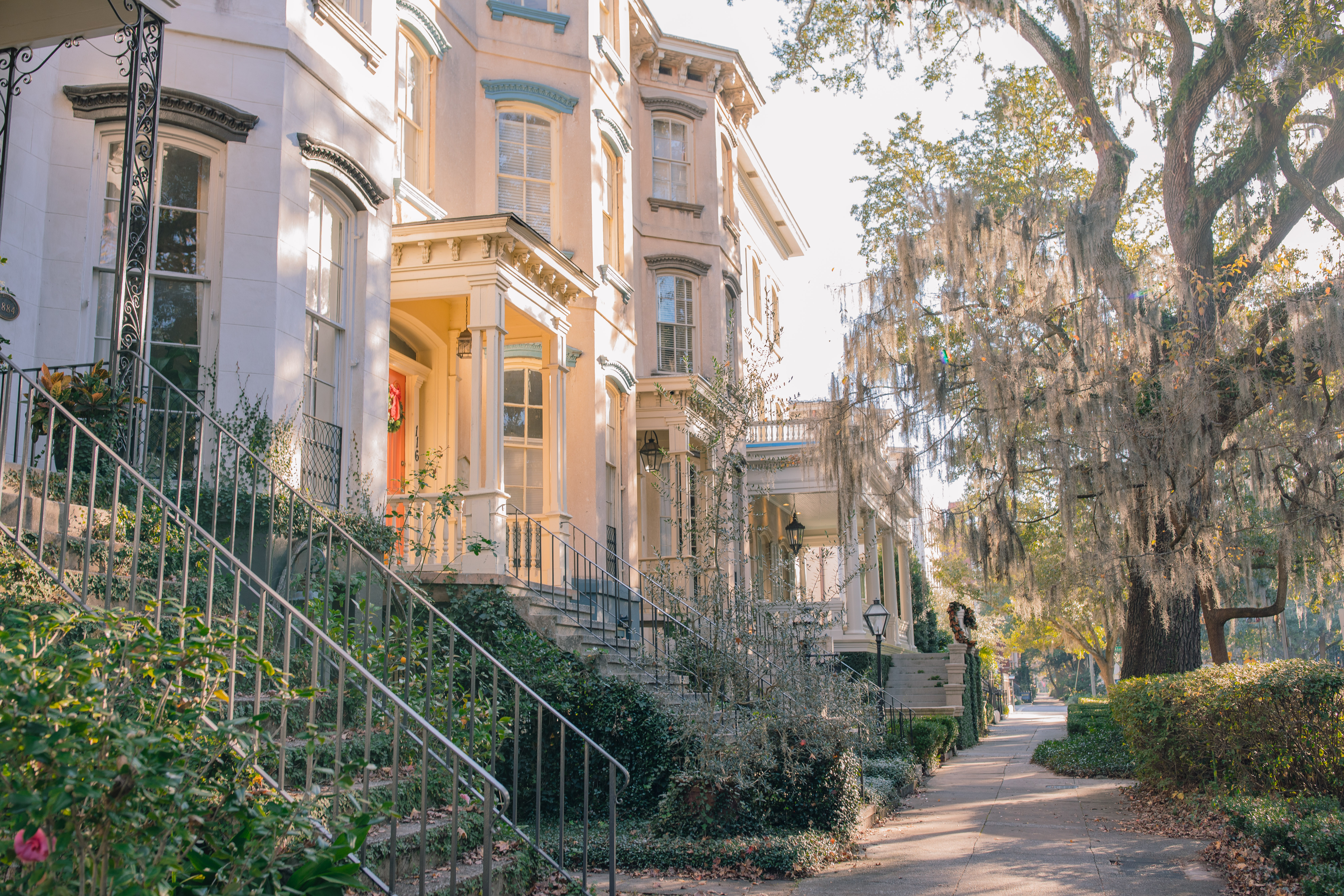 Lowcountry with lexus, savannha georiga, lexus cars, lexusus, TX 500h F Sport AWD, cars, roadtrip, suvs, travel guide, georgia, collins quarter