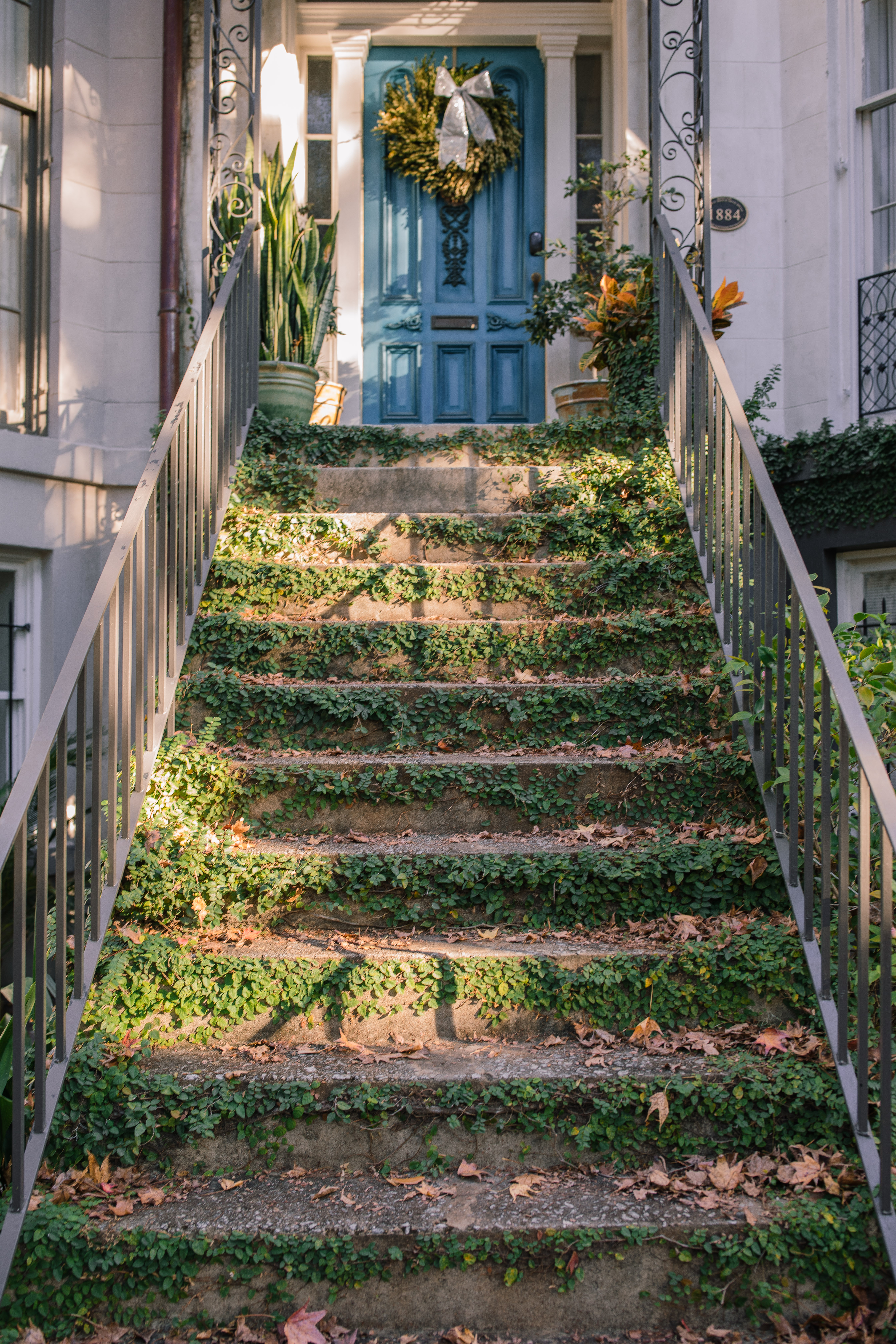 Lowcountry with lexus, savannha georiga, lexus cars, lexusus, TX 500h F Sport AWD, cars, roadtrip, suvs, travel guide, georgia, collins quarter, hotel bardo, where to stay, savannah bed and breakfast, flora and fauna, riverstreet, savannah walking tour