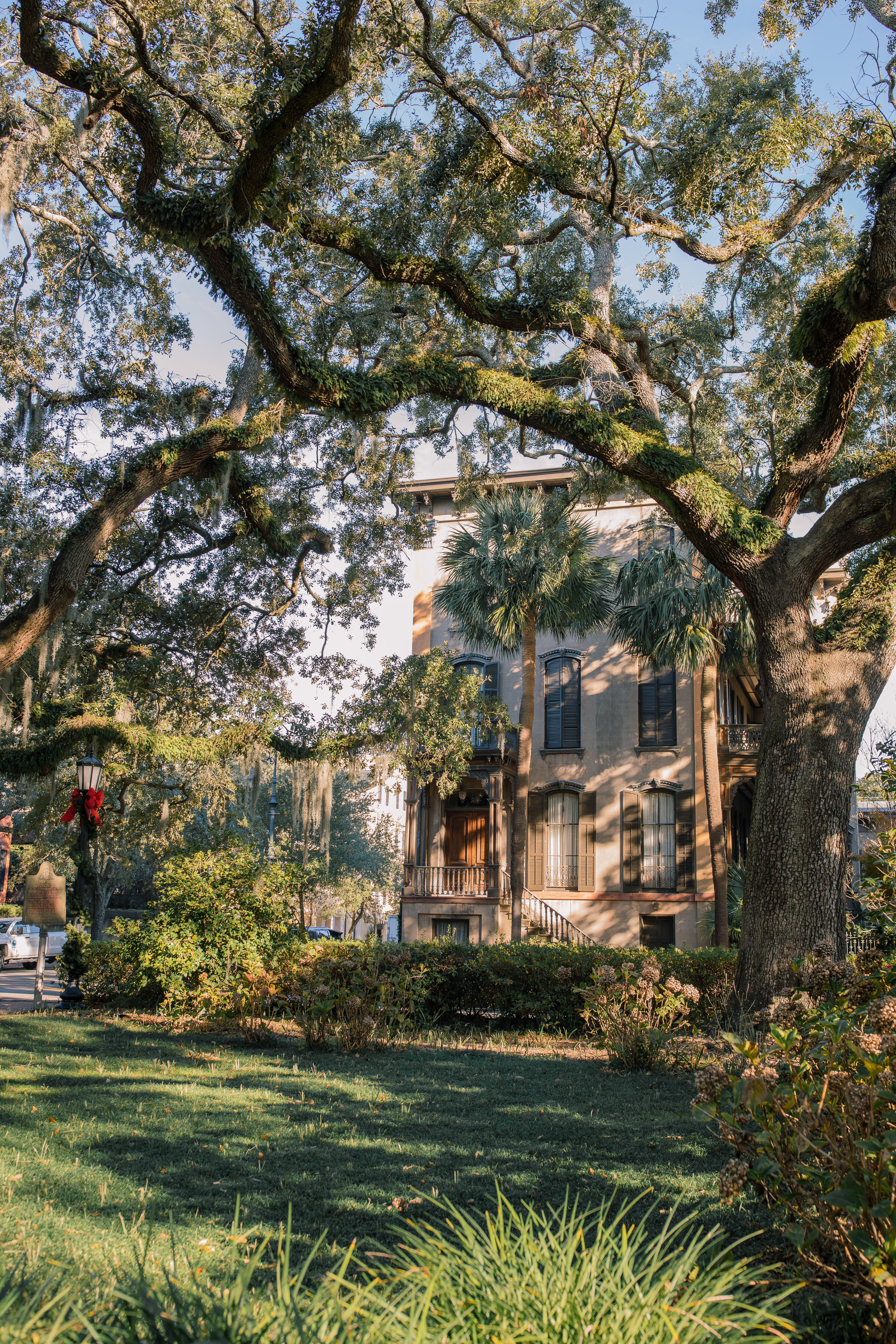 Lowcountry with lexus, savannha georiga, lexus cars, lexusus, TX 500h F Sport AWD, cars, roadtrip, suvs, travel guide, georgia, collins quarter, hotel bardo, where to stay, savannah bed and breakfast, flora and fauna, riverstreet, savannah walking tour